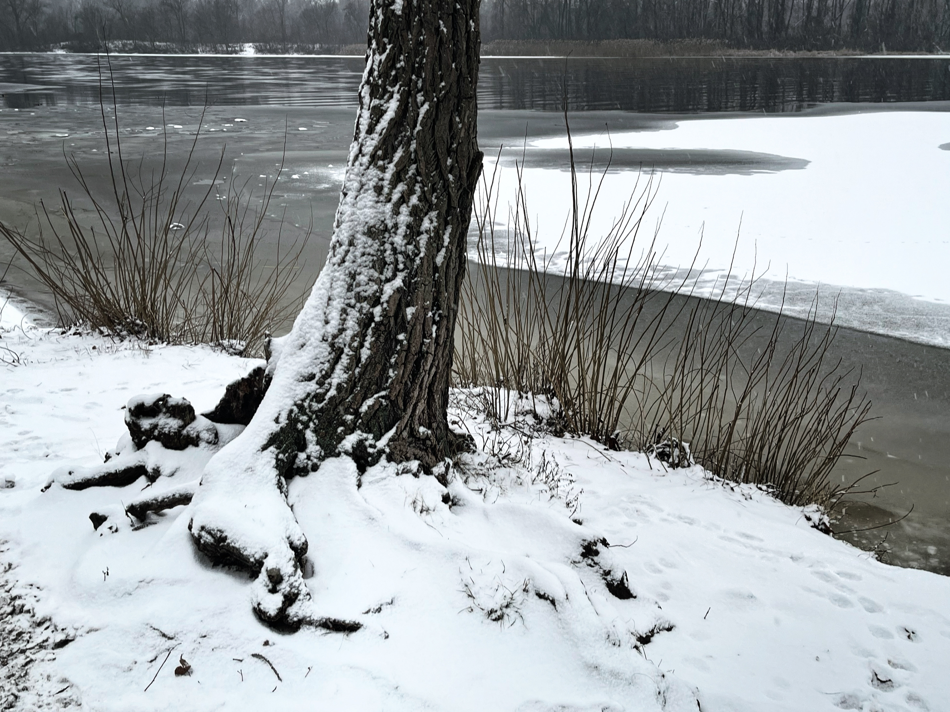 A Shape of Winter, Kyiv, 2022