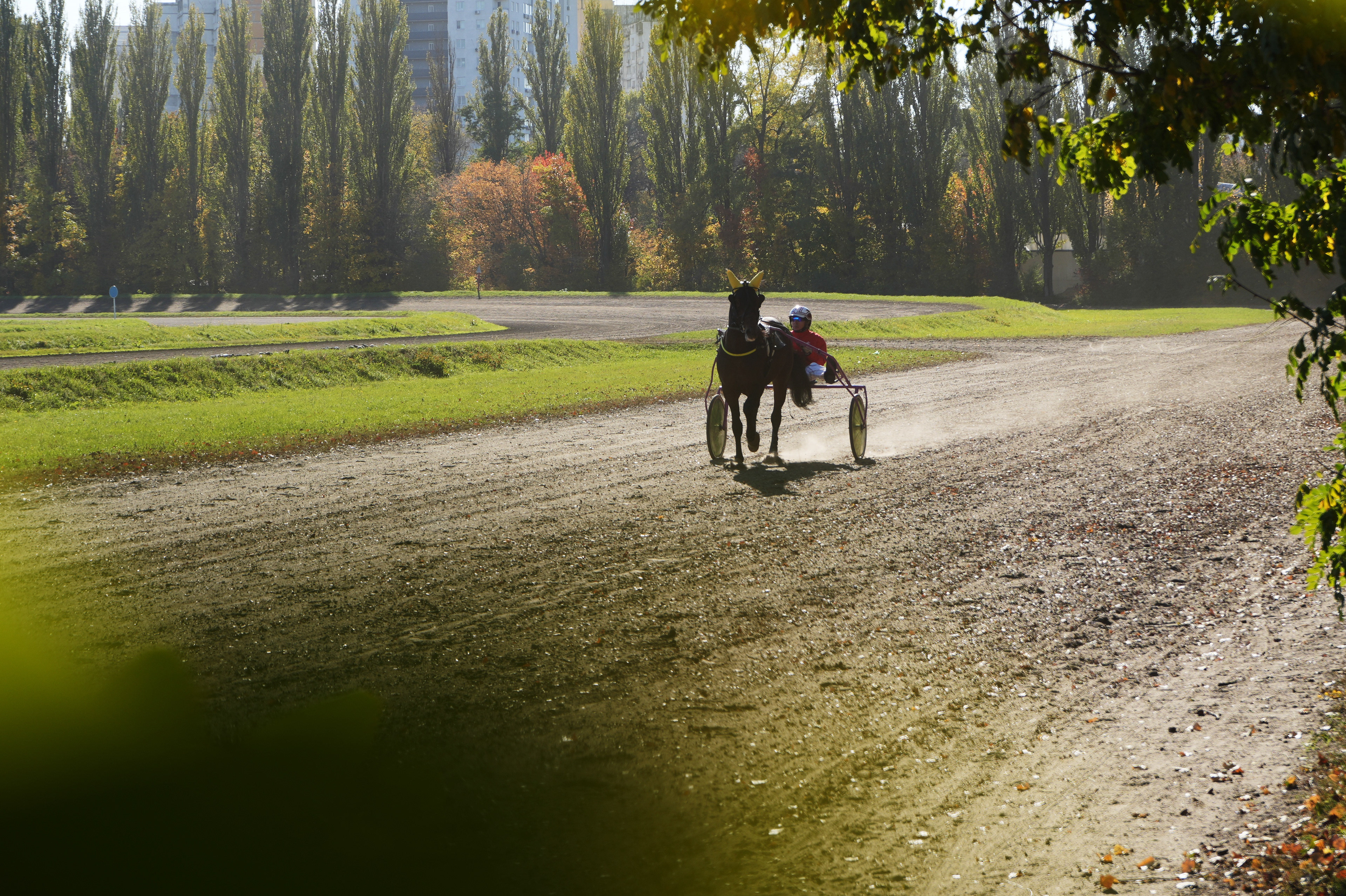 Ukrainian Trotter Hlavars returns home after victory, 2022.