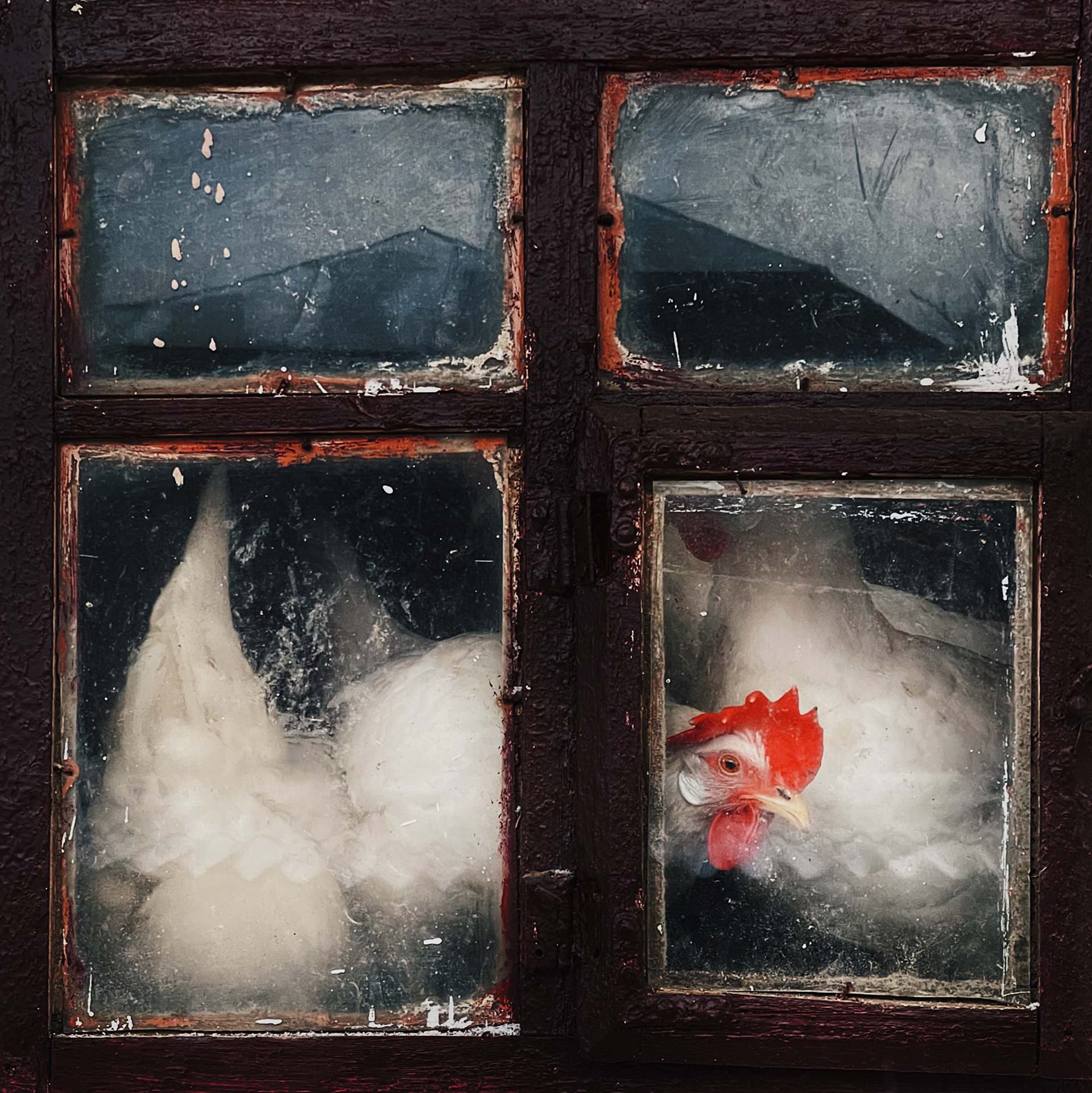 Escape Route I, 2022