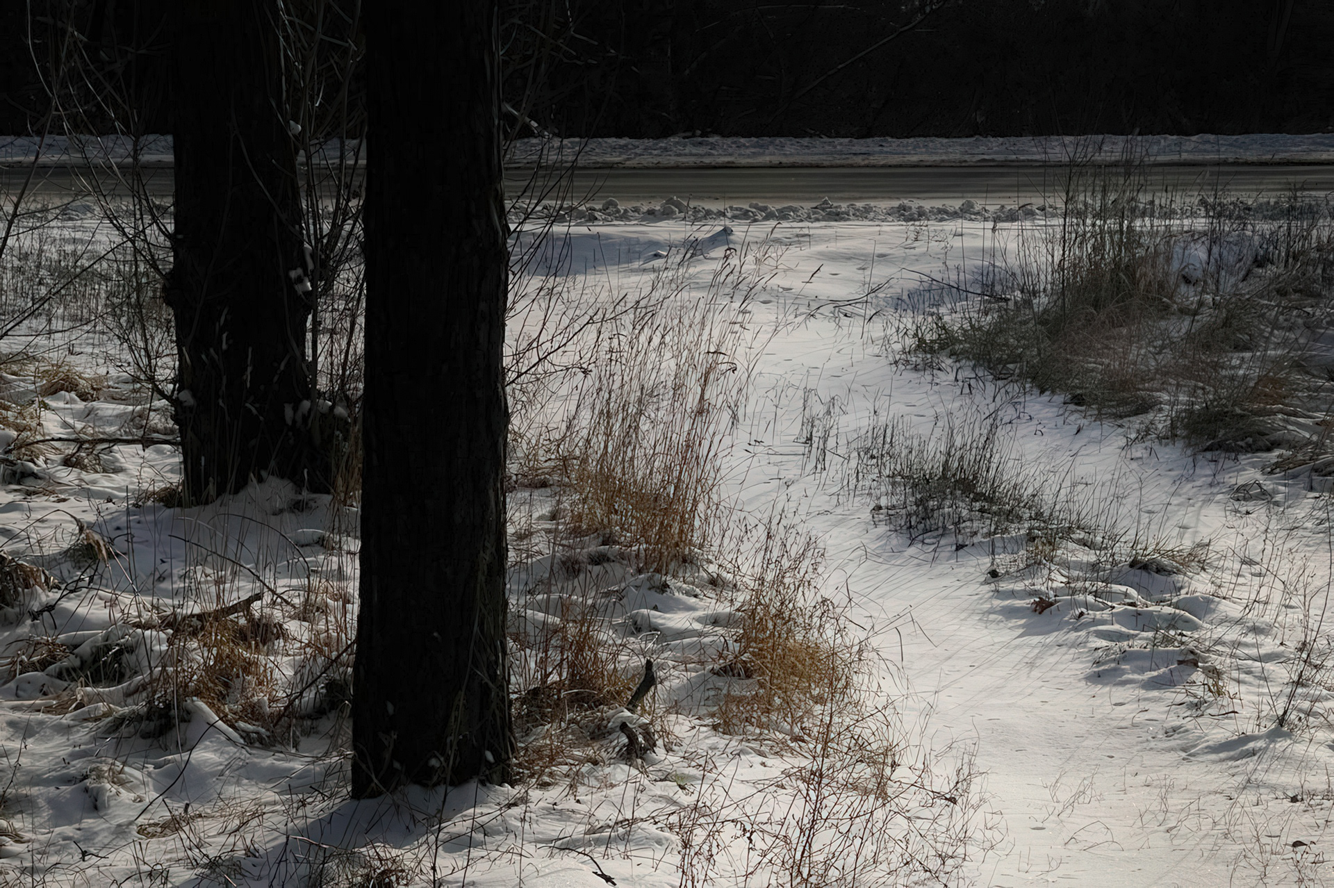 Tracks in the Snow, Khodosivka, Kyiv Oblast, 2023