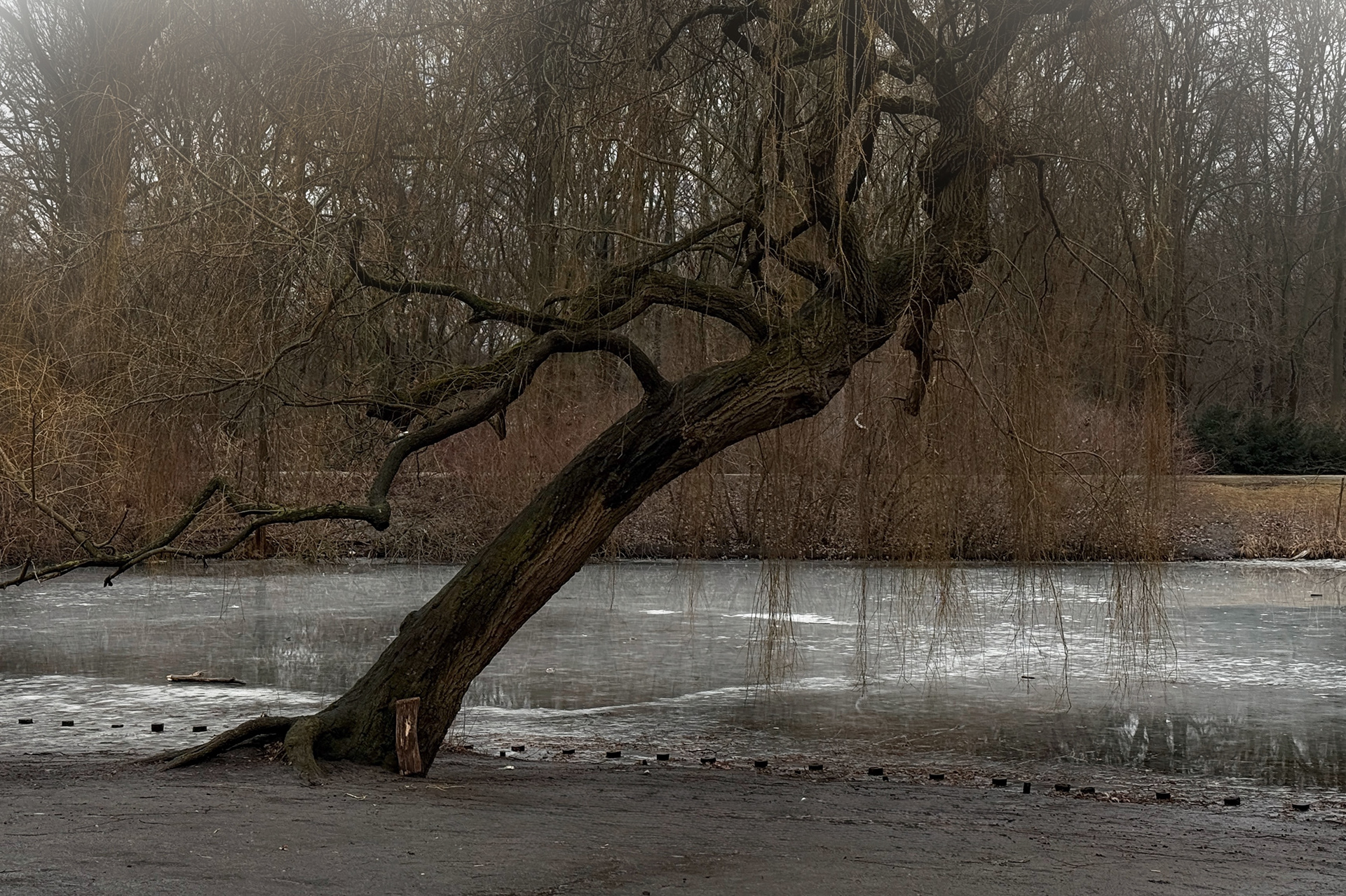 Tales of Tiergarten. Berlin, 2026.