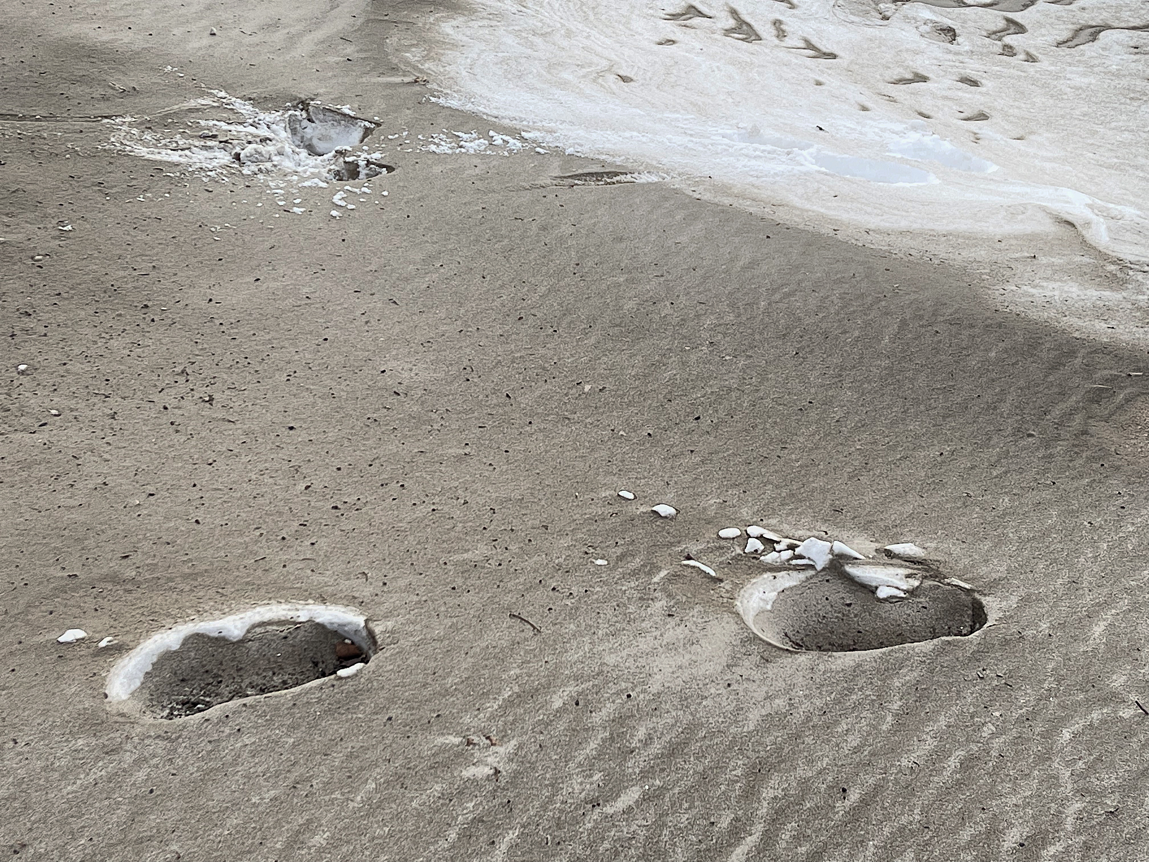 Tracks in the Snow, Kyiv  2022