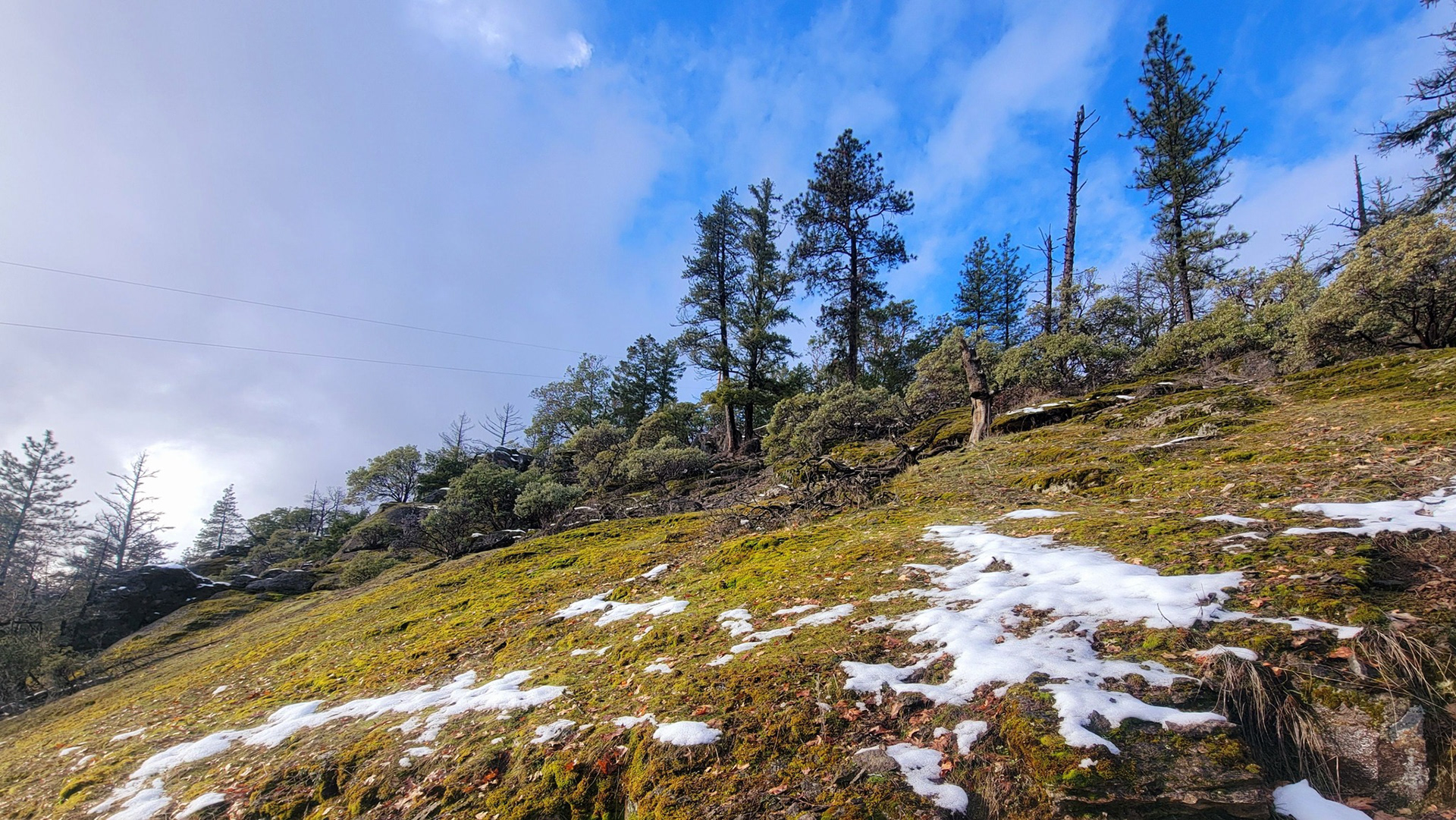 South Slope
