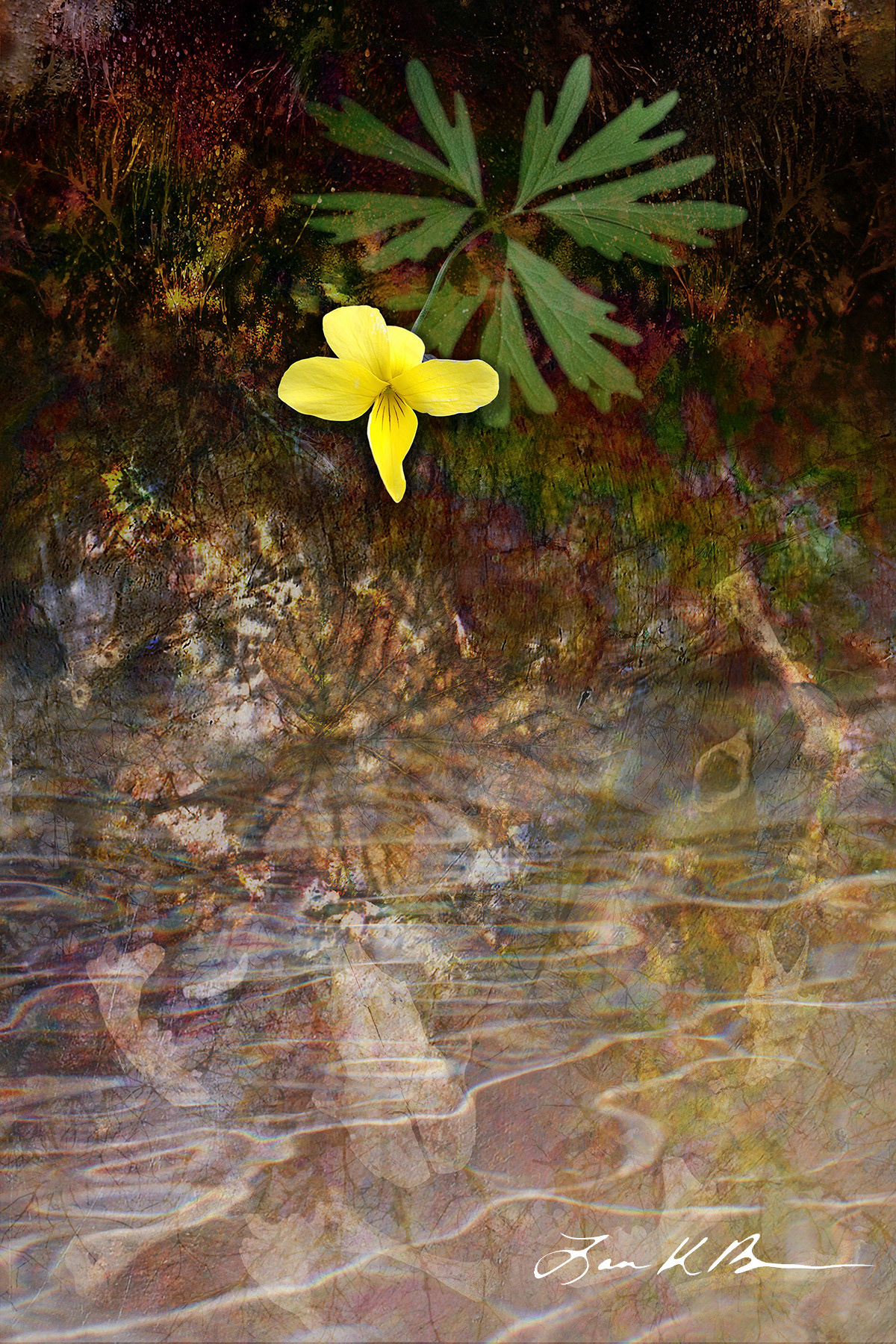 Ephemereality: Between Flood and Fissure