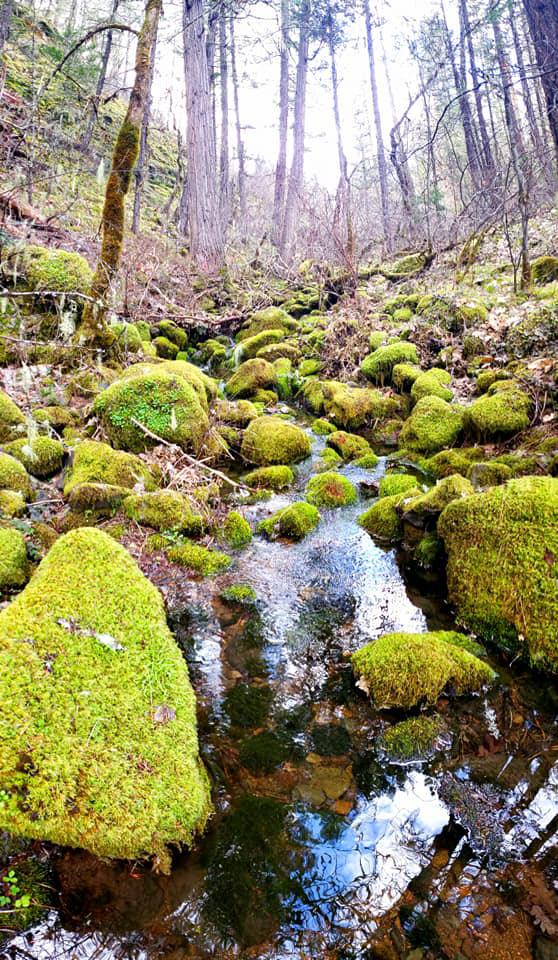 BLM Creek