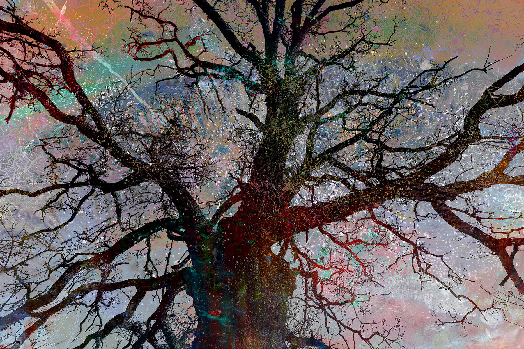 Stelliferous: A Quiescent Hour
