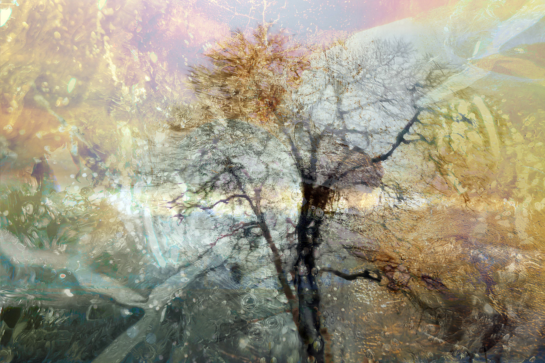 Winter Withholding: The quiet undoing in sunlit frost