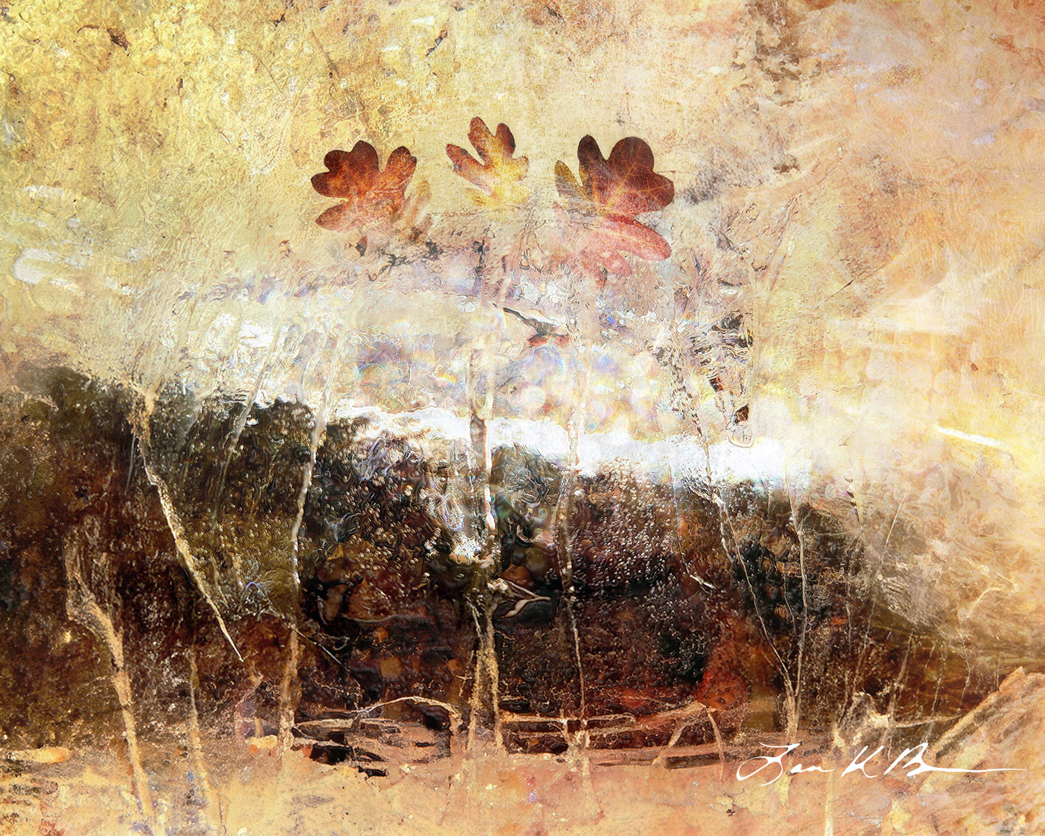 Deliquesce: Dissolution with Time