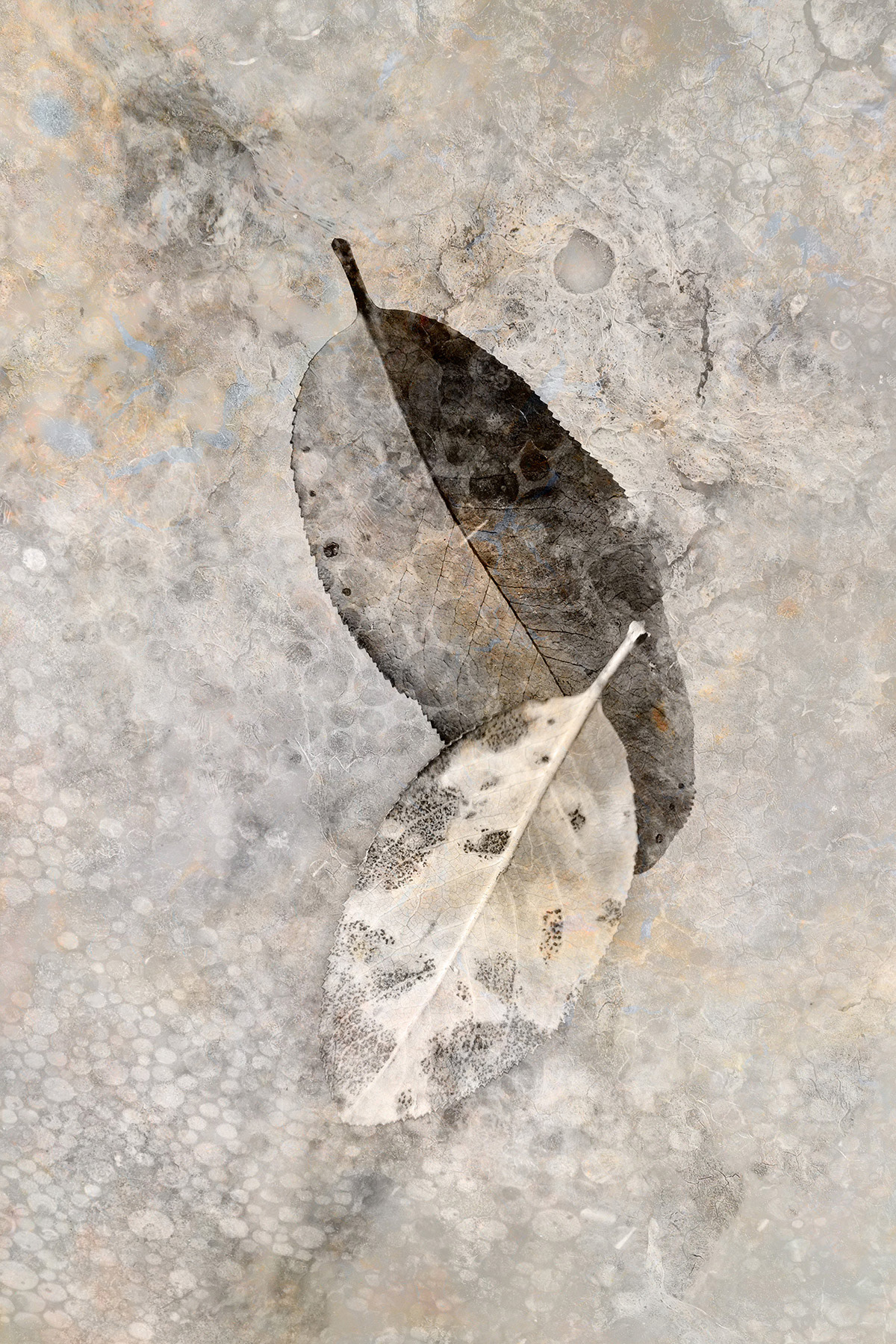 Burn Kinetic No. 1: Quiet Accumulation