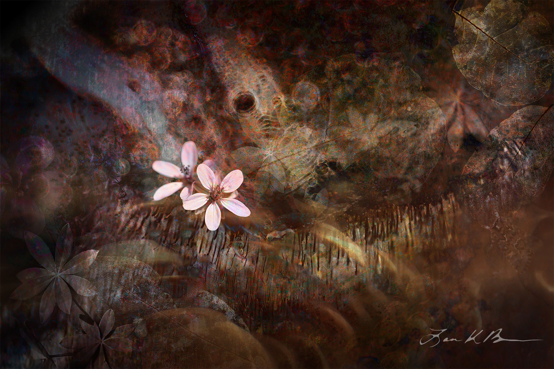 Disturbed Earth: Bright Against the Broken