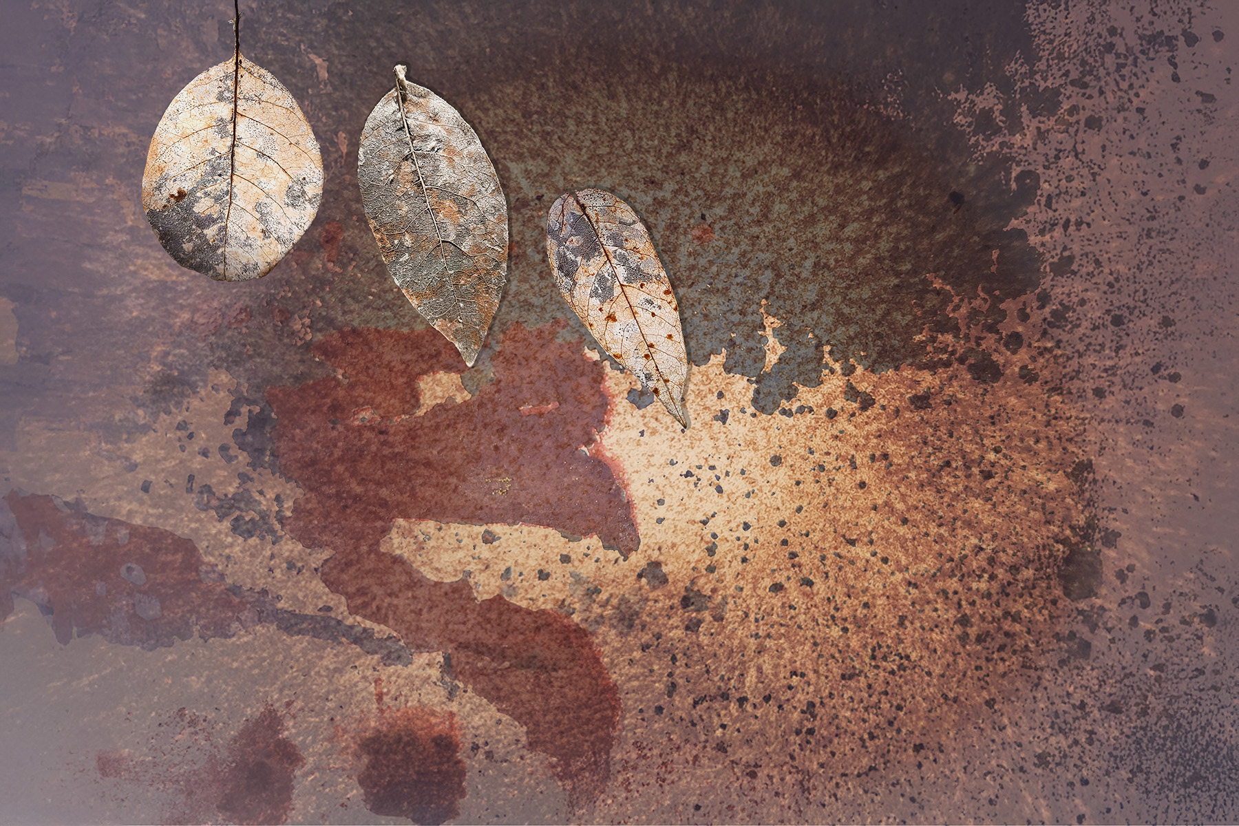 Chromaticity Falling: Lightfasting