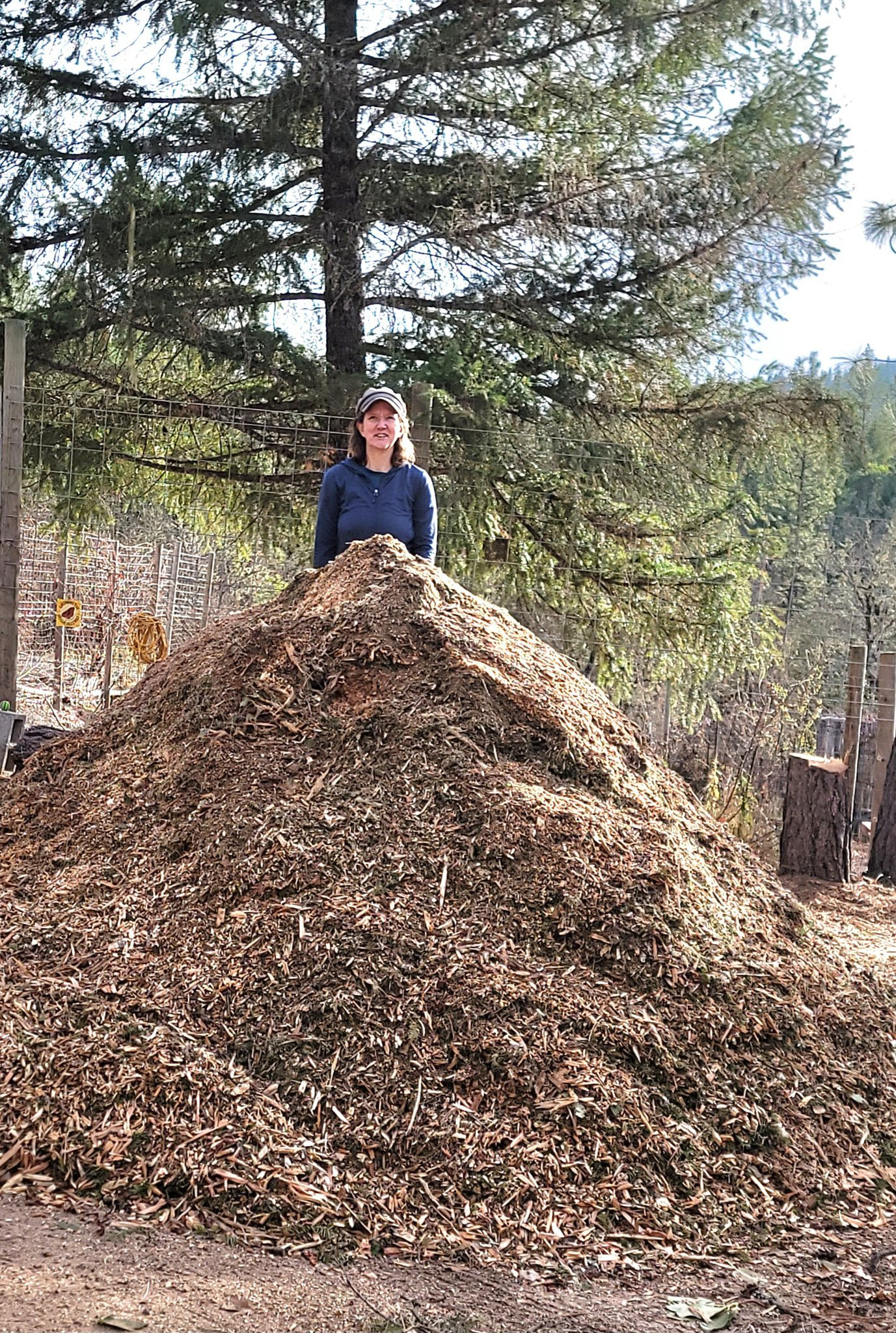 Mulched