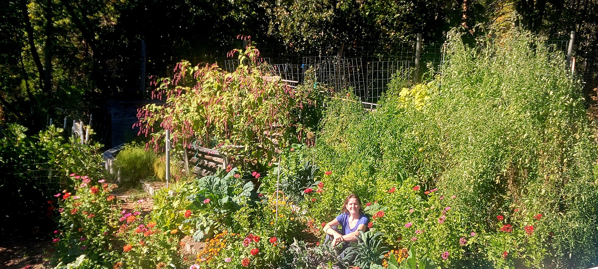 Garden 2025