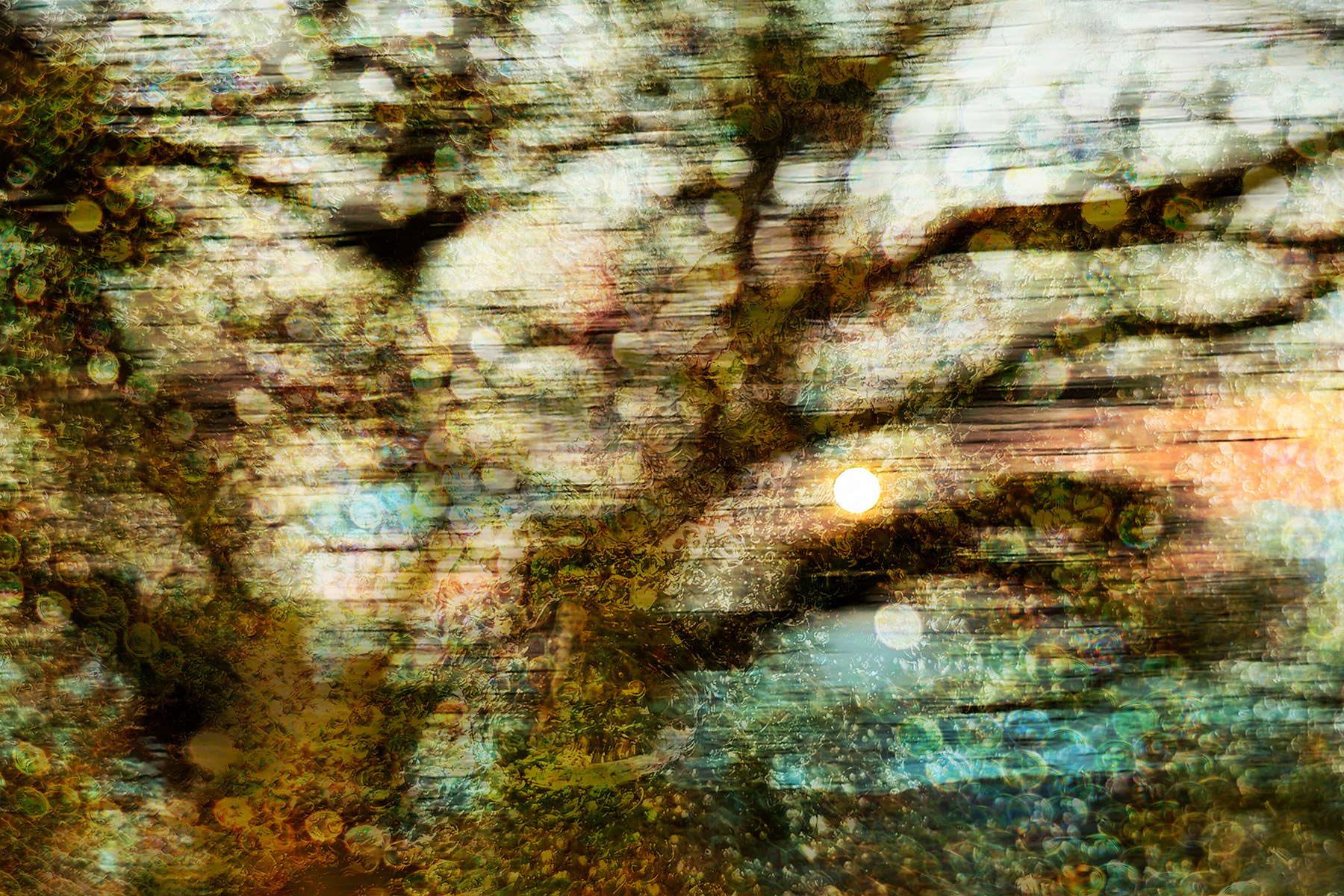 Augustan March: Heat that Endures