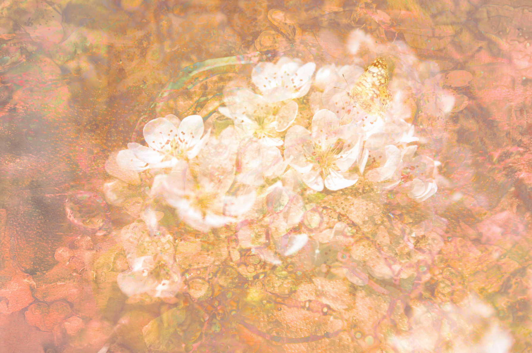 Nashi no Hana: In Time, Fruition