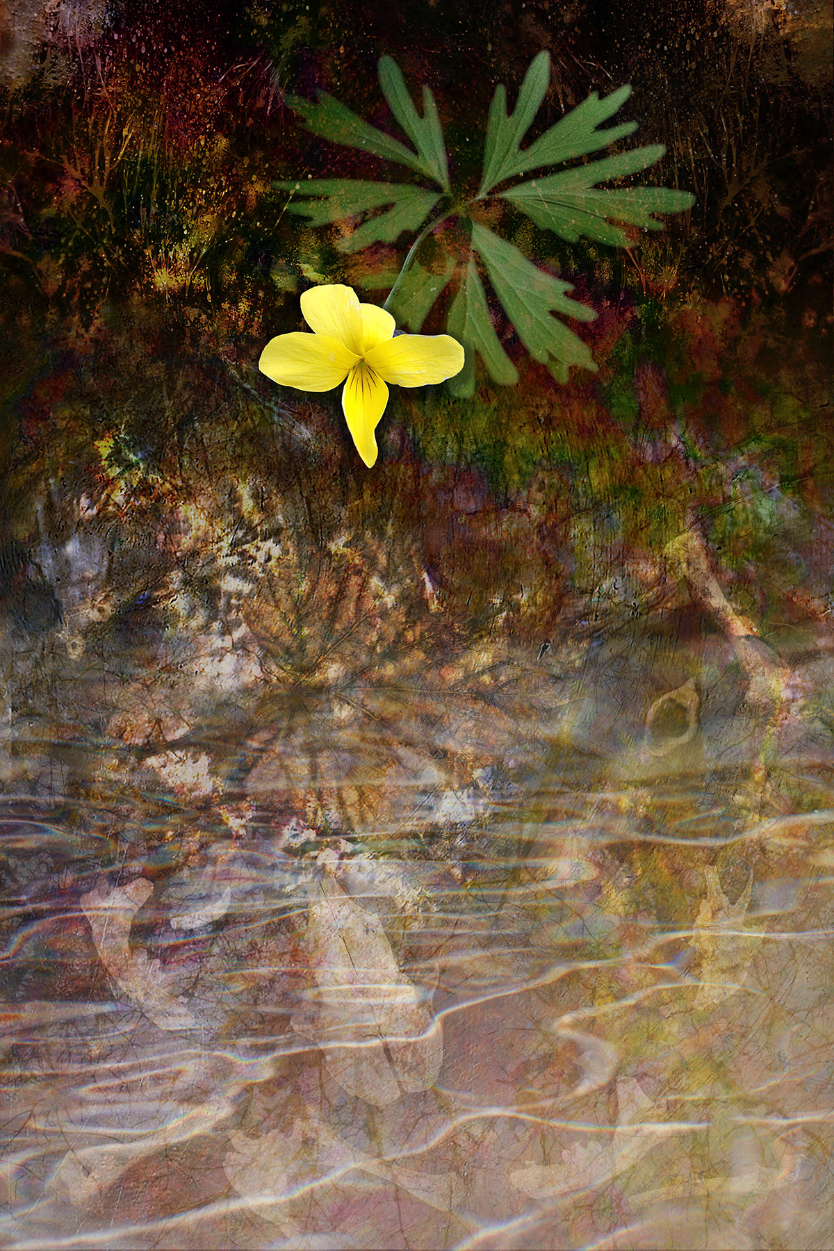 Ephemereality: Between Flood and Fissure
