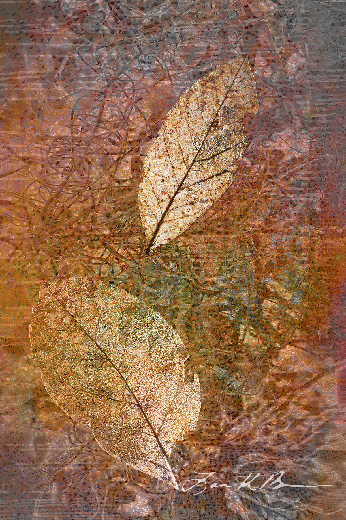 Inherent Fall: Last Light