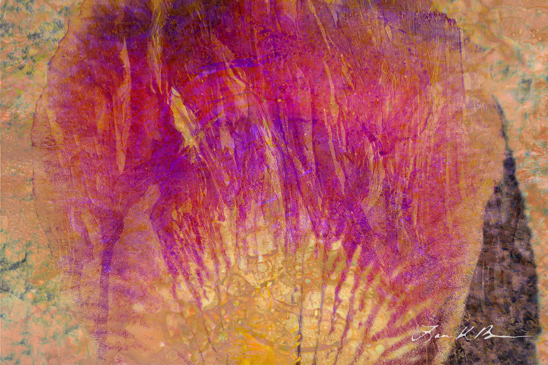 Streaming Iris: Left in Leaving