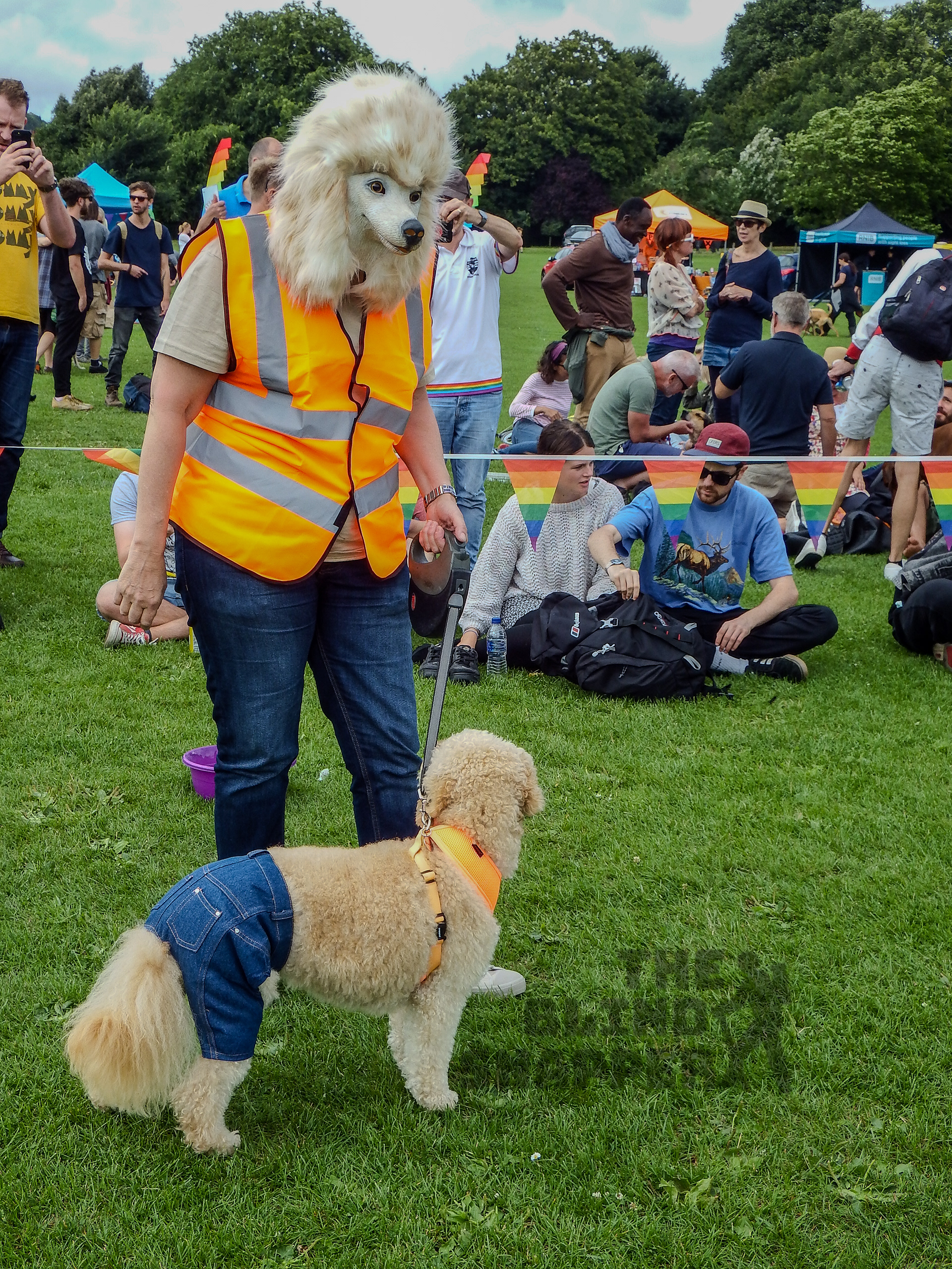Pride Dog Show 2017