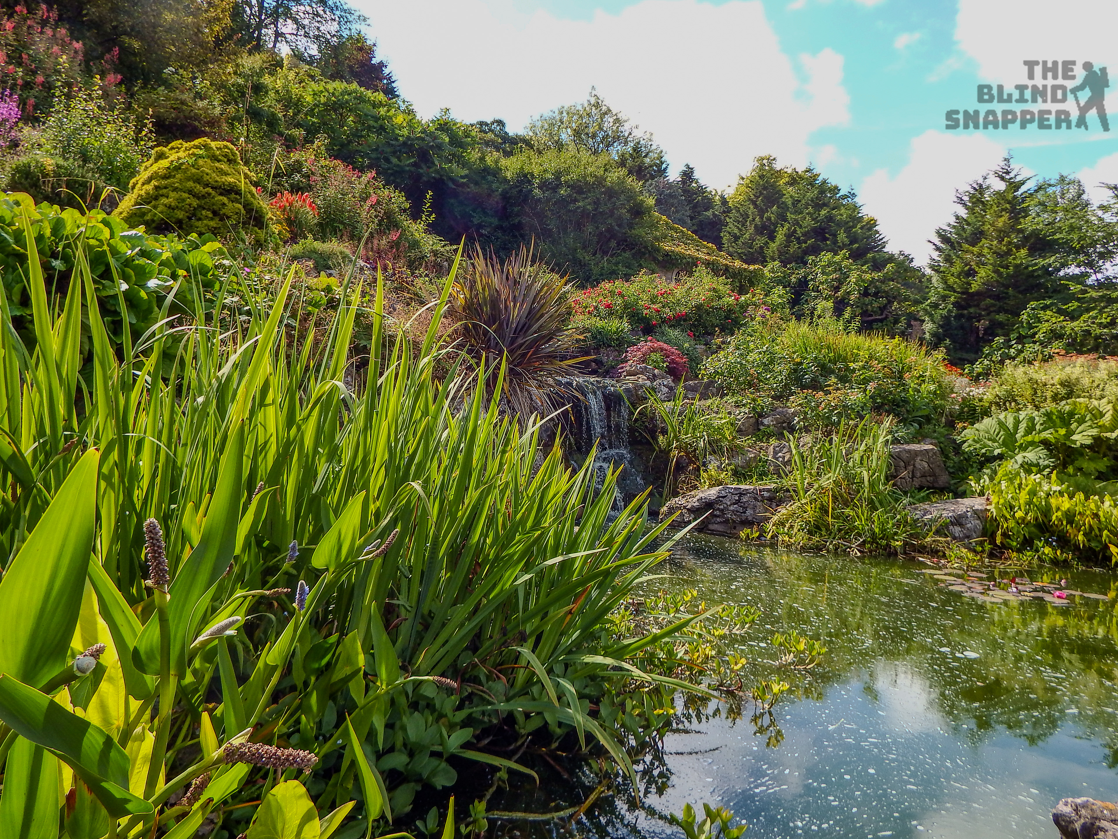 Preston Park Rock Gardens