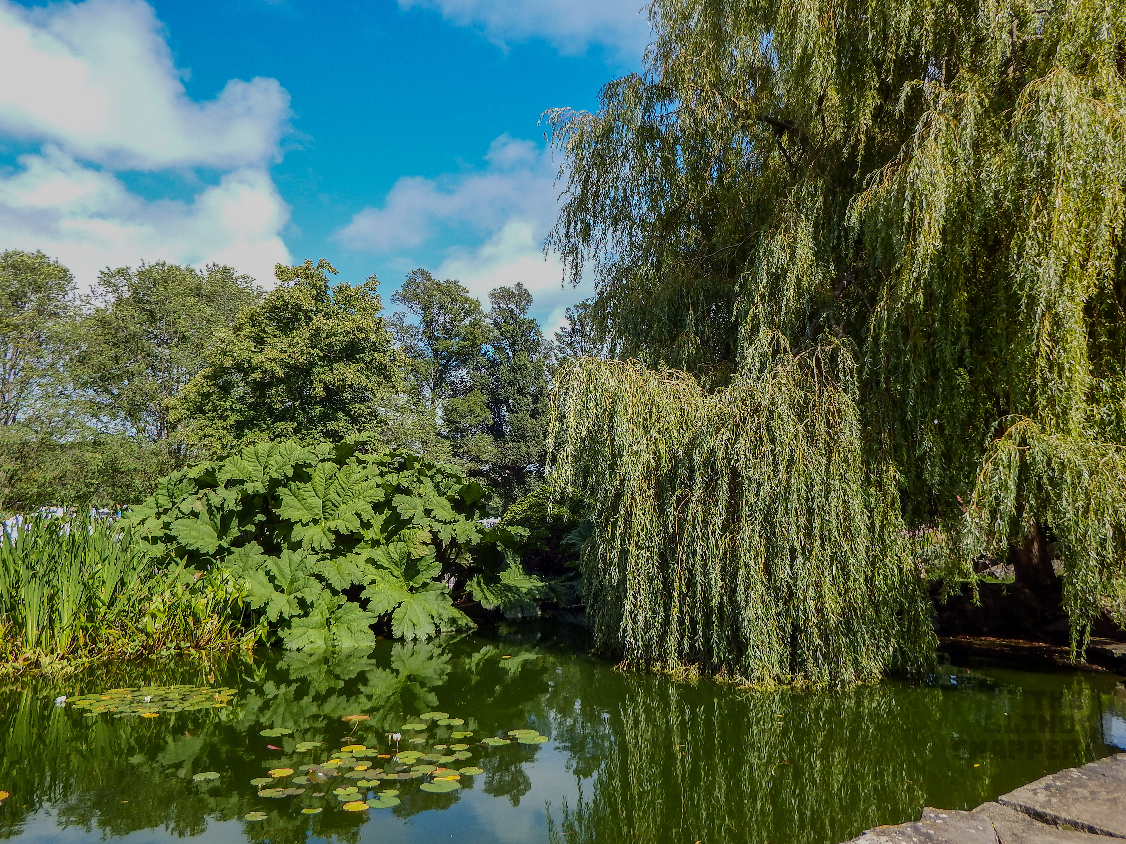 Preston Park Rock Gardens