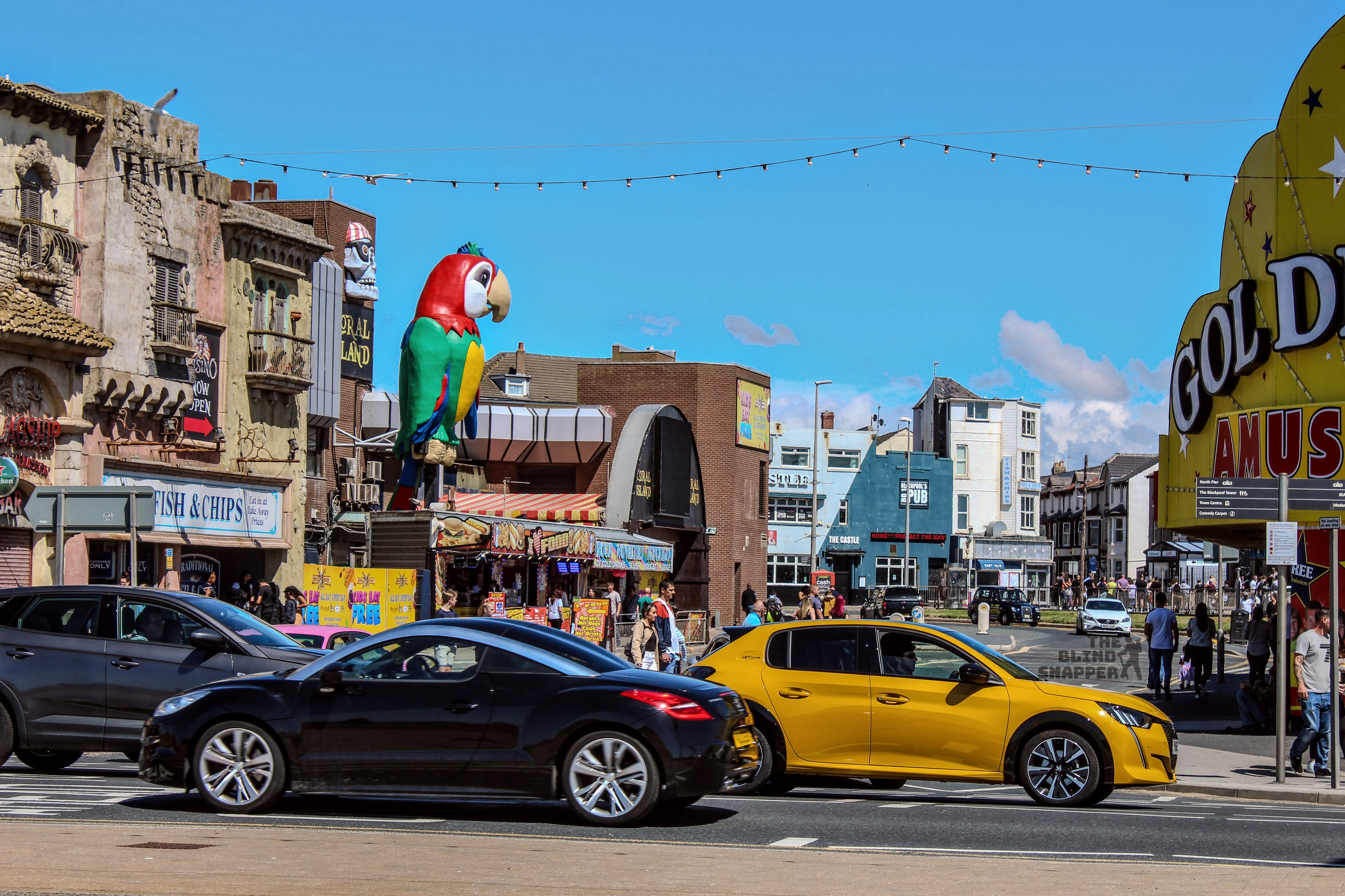 Big parrot outside Coral Island