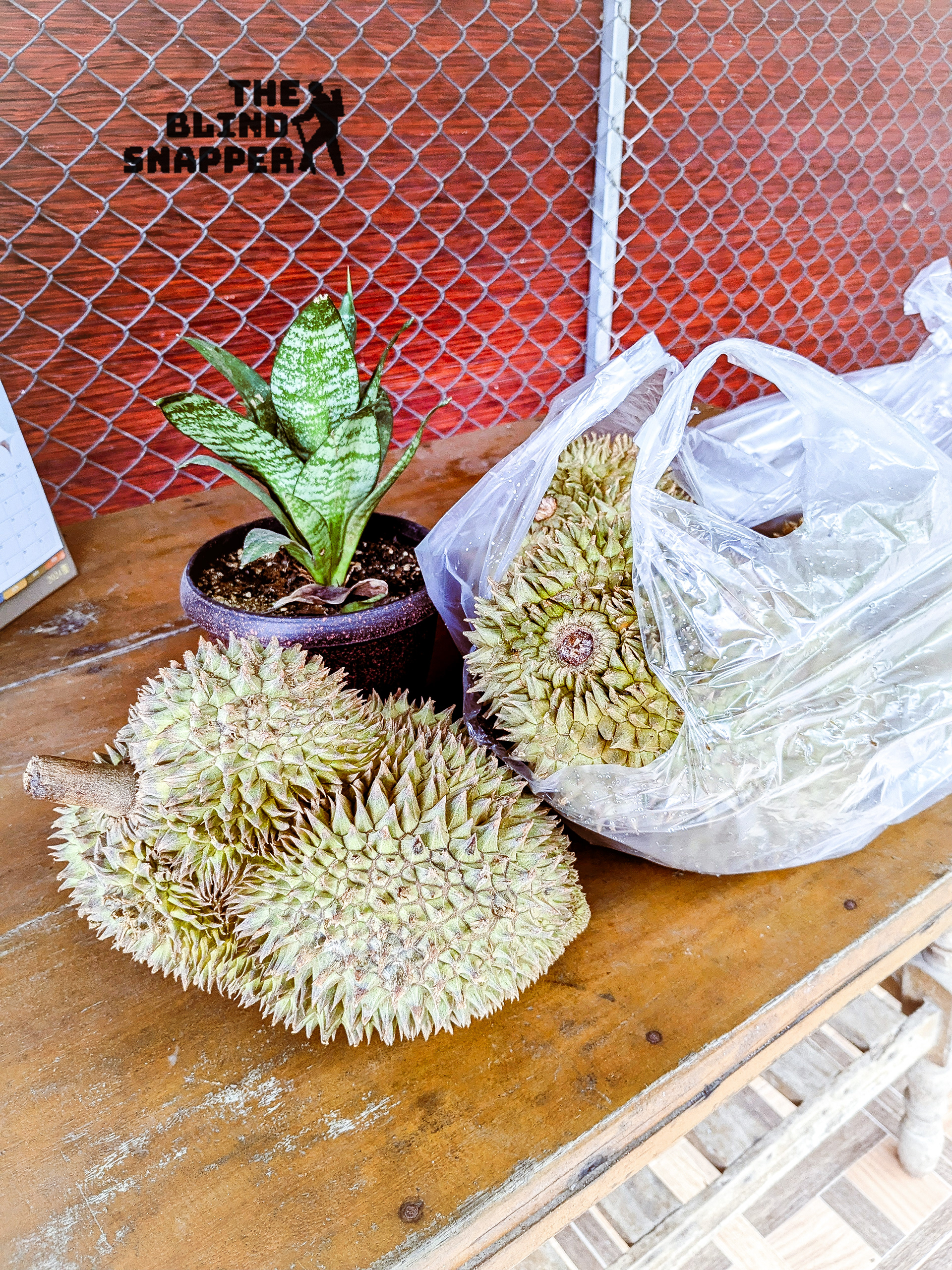 Durian the King of Fruits