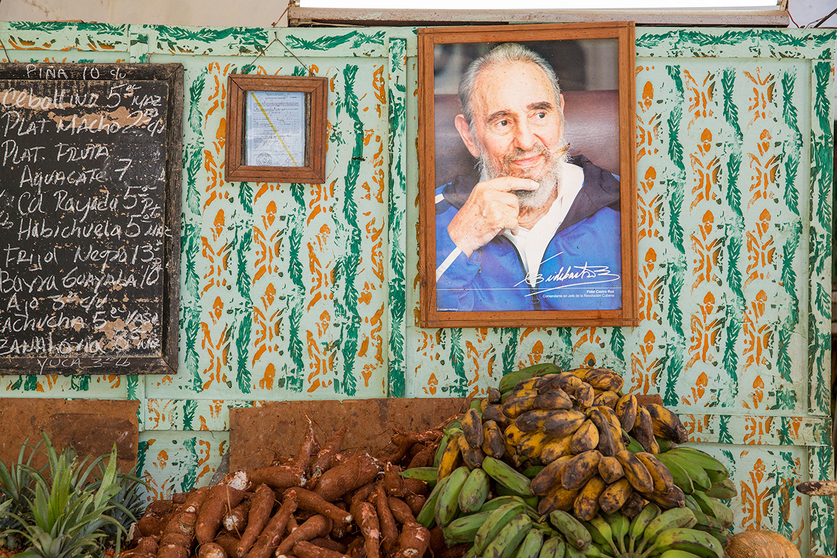 Fidel