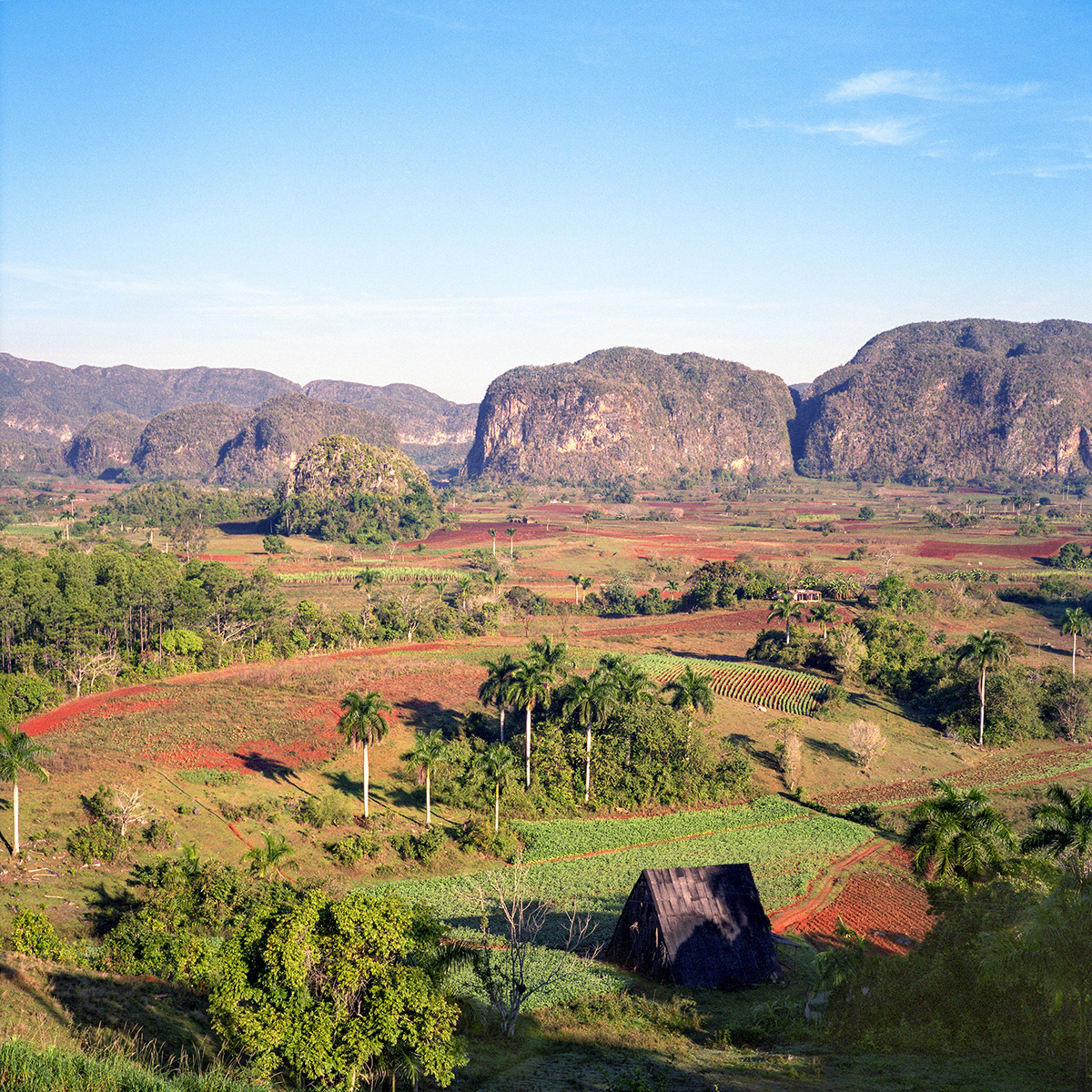 Viñales 