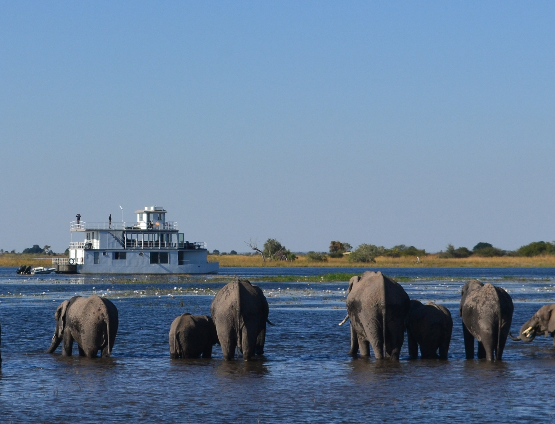 Chobe