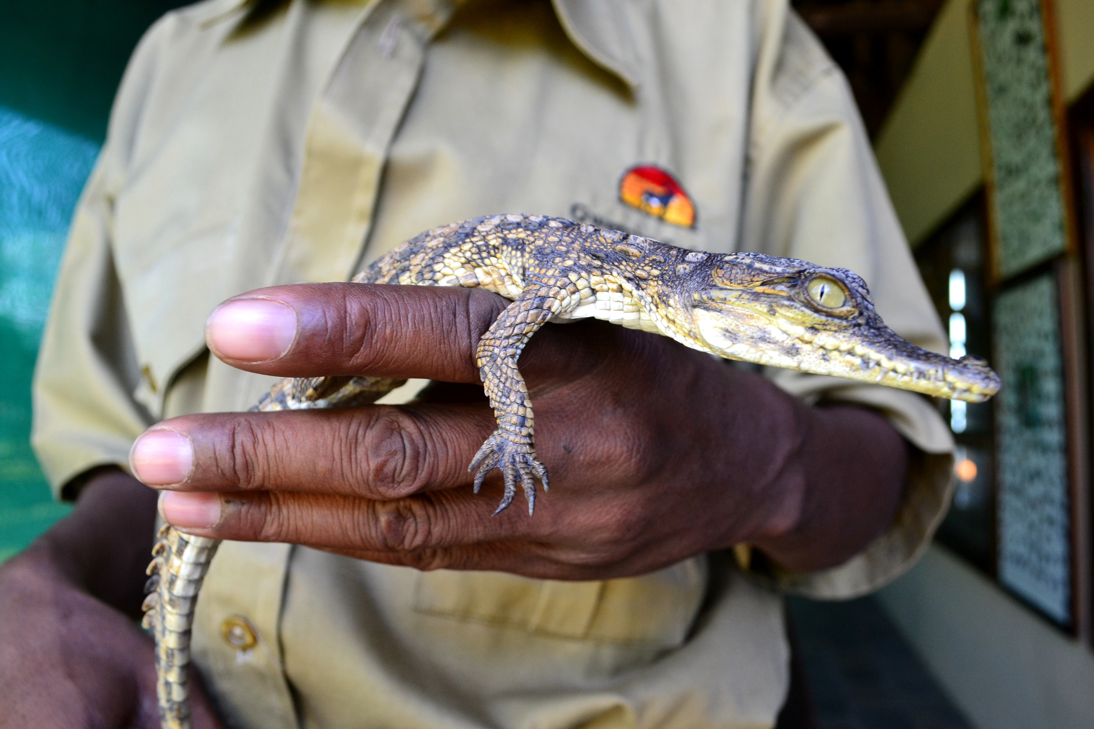 Zambia