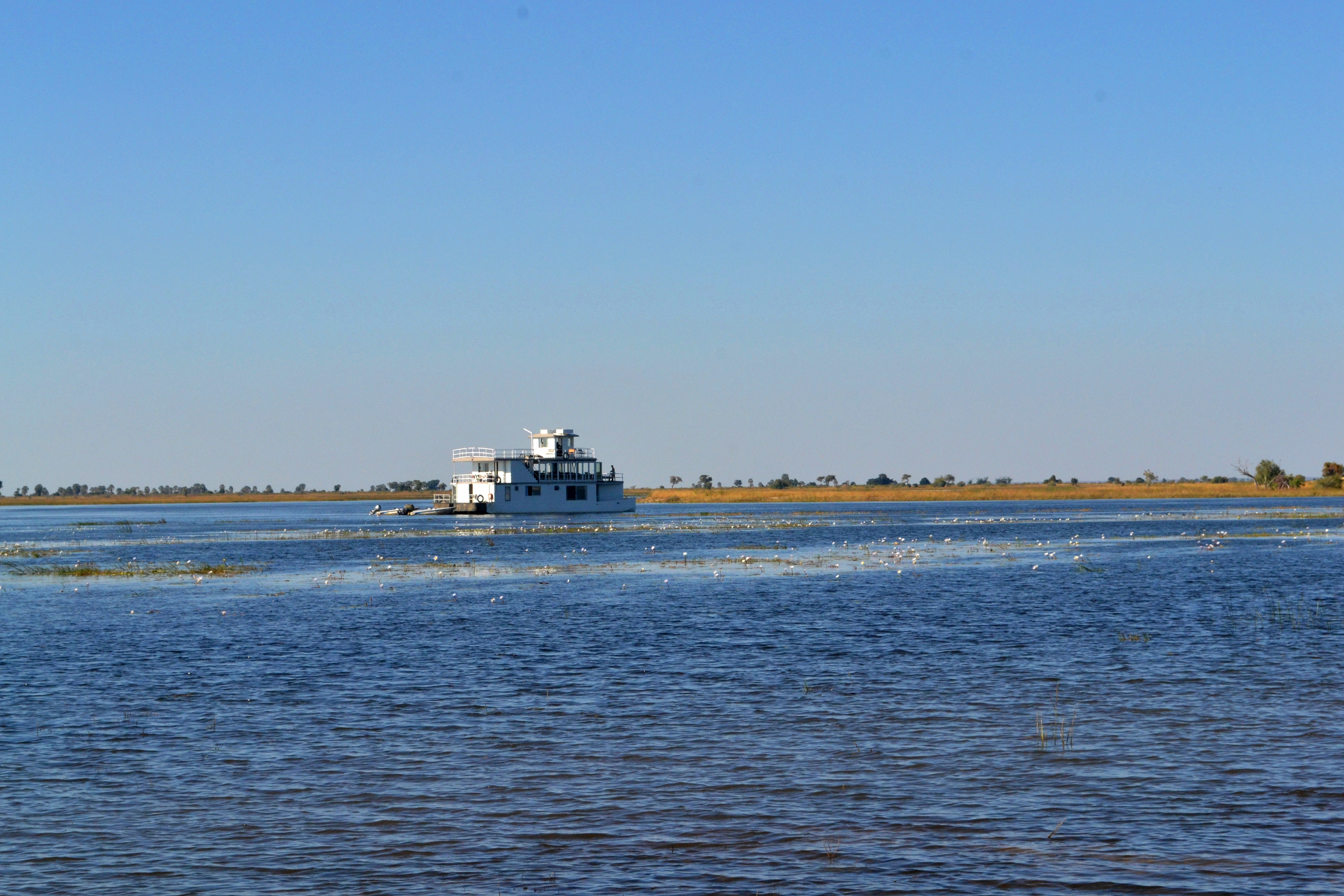 Chobe