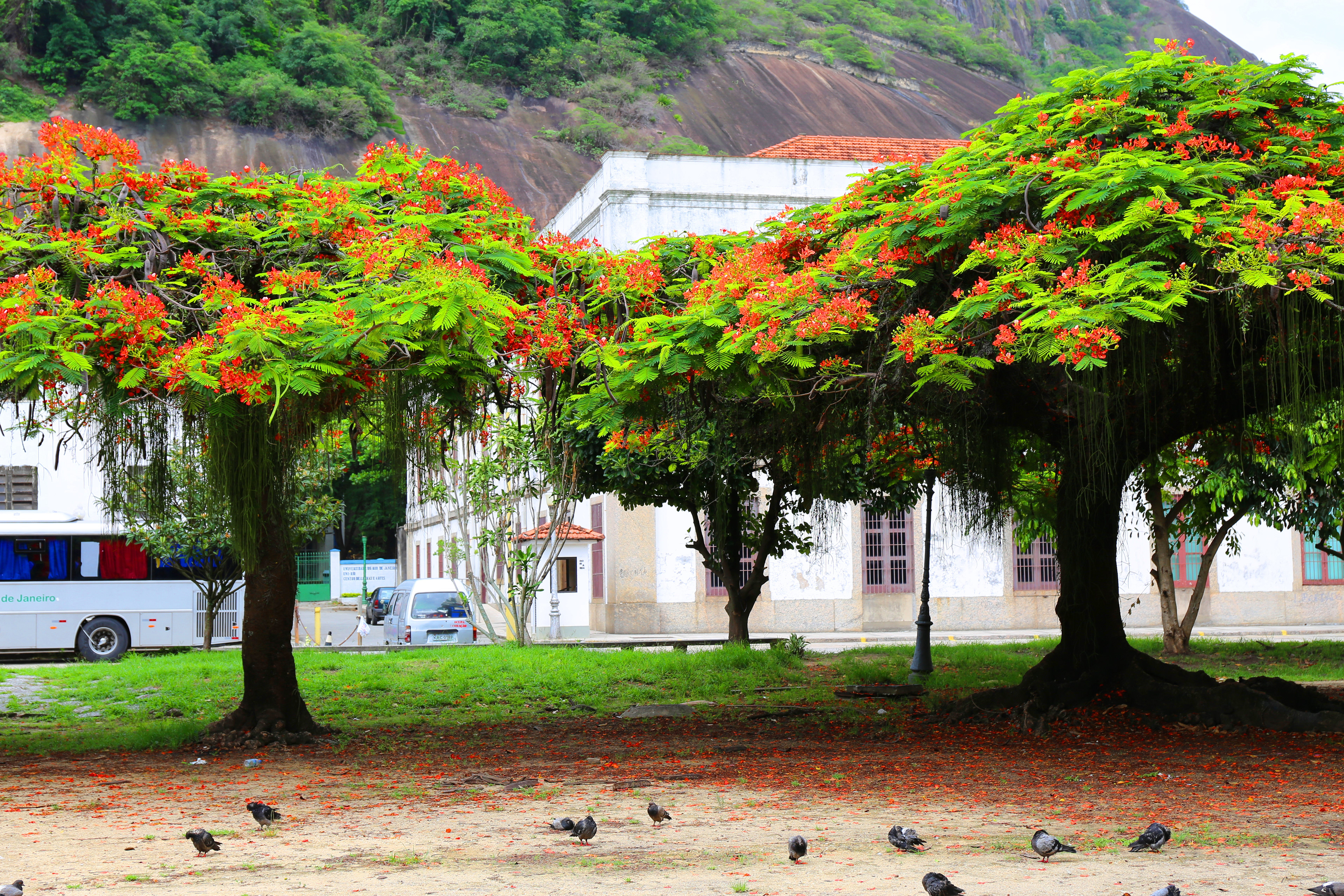 Rio de Janeiro