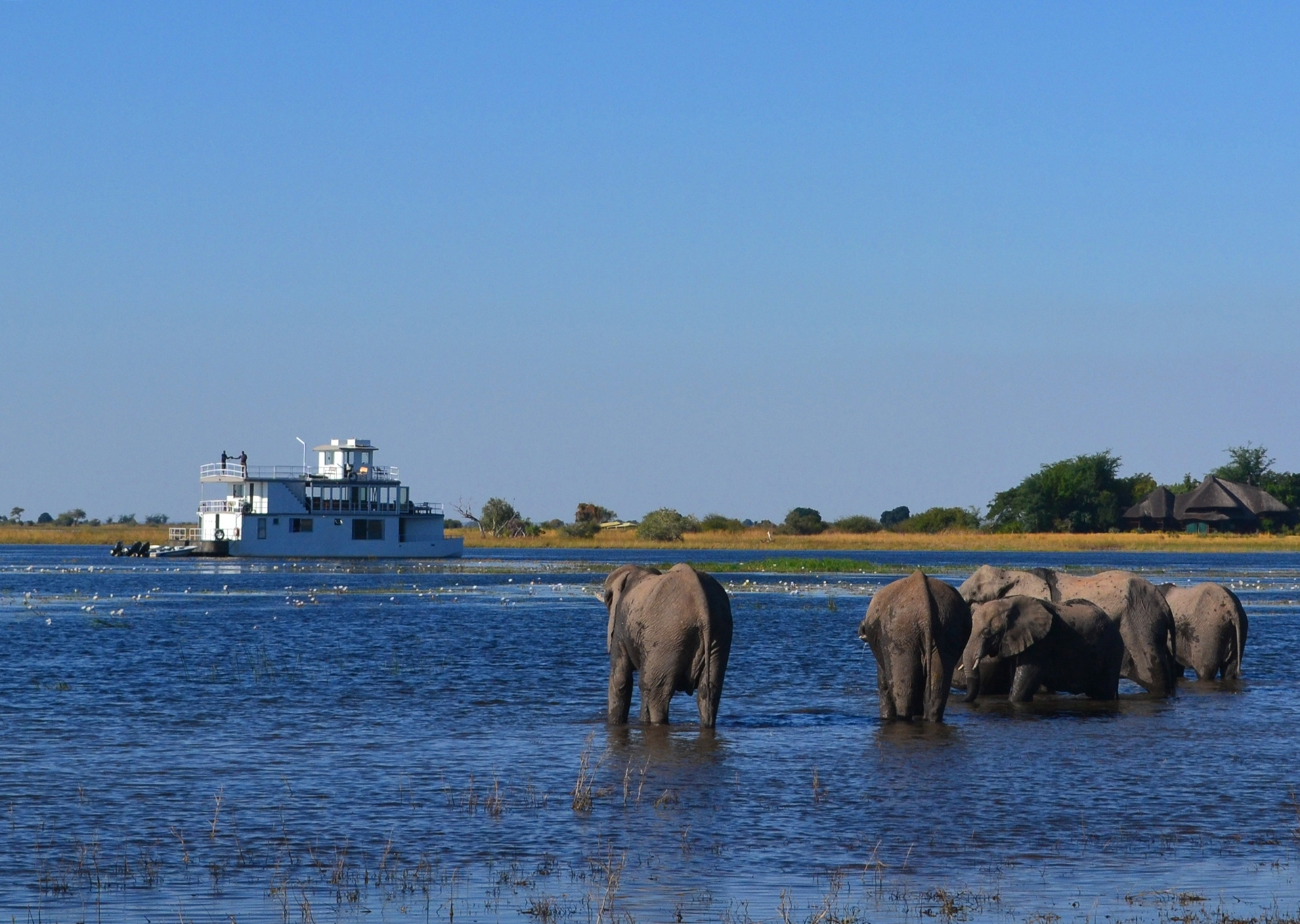 Chobe