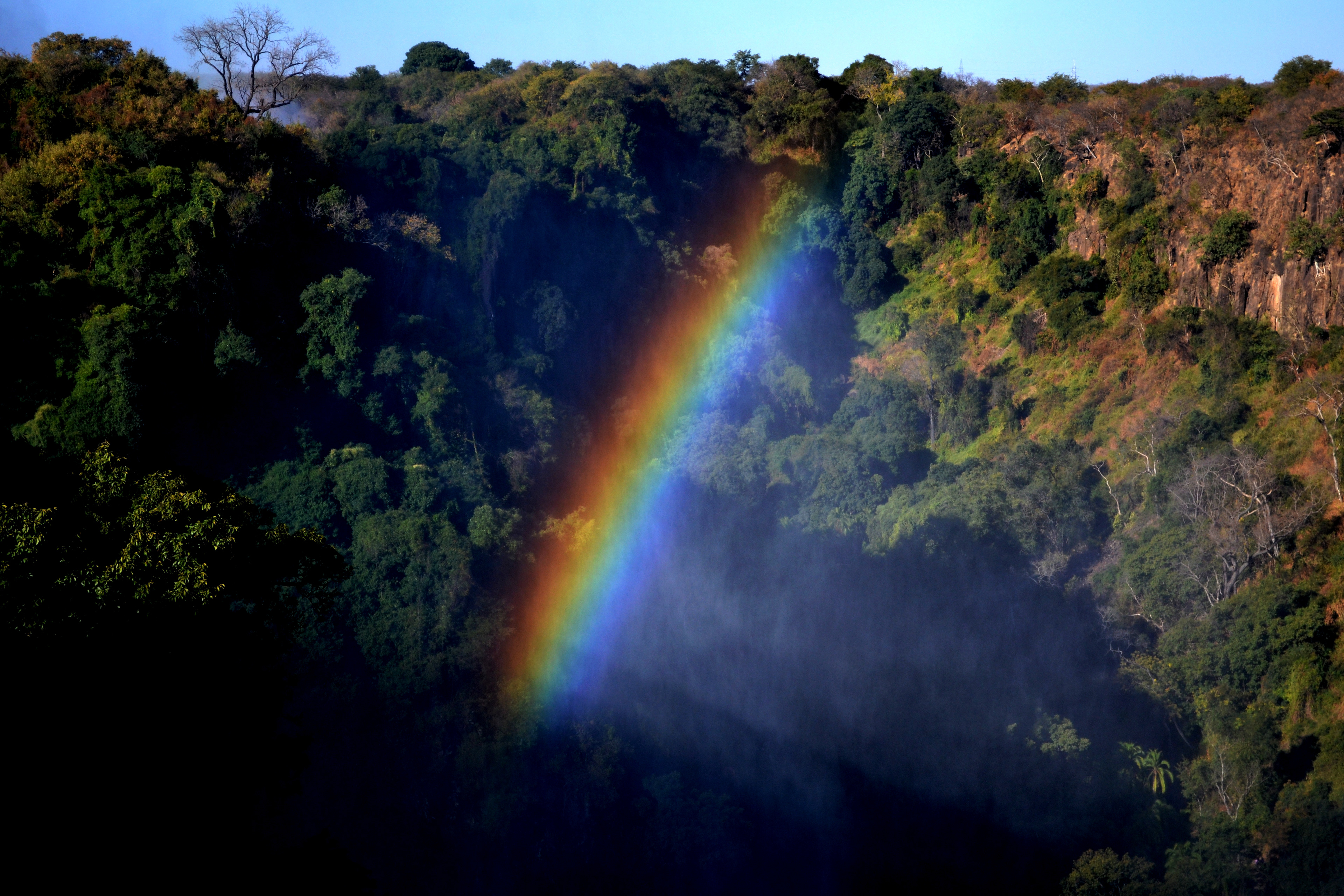 Zambia