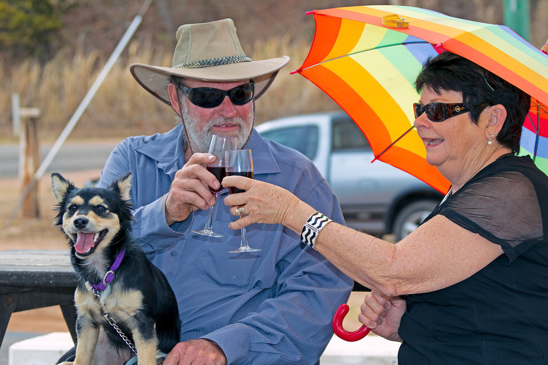 man lady dog toasting  © copyright-lewis-a-collins-lcpmtl-!http://lewiscollins.com.au