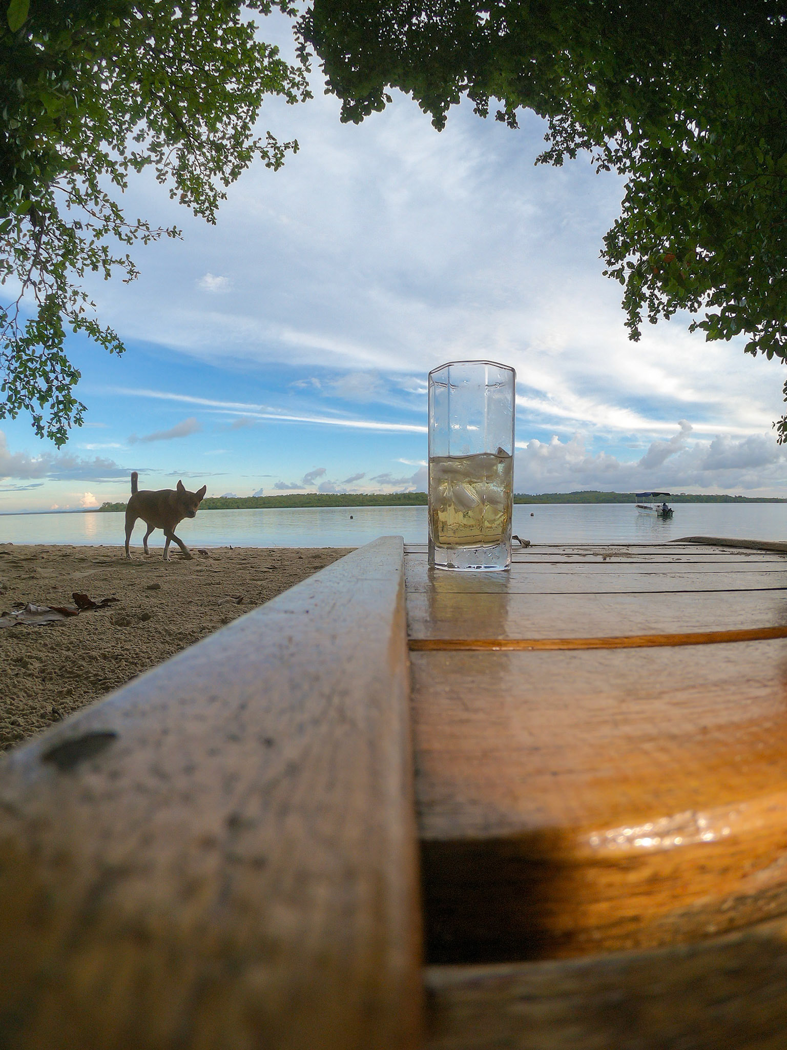 2018 may an afternoon Cool drink lissenung island papua new guinea© copyright-lewis-a-collins-photographer-!http://lewiscollins.com.au