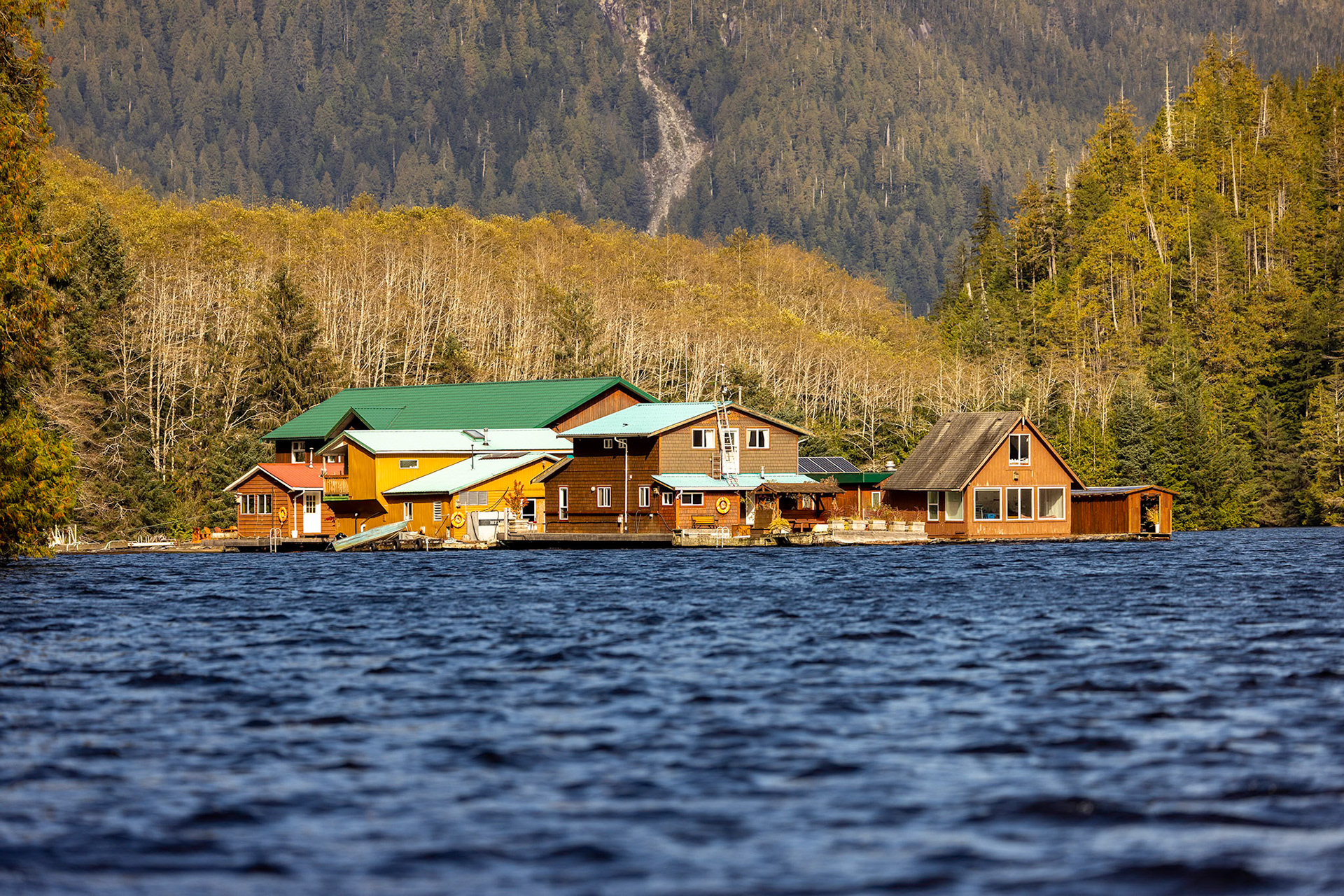 2025 october great bear lodge a floating lodge in rainforest northern vancouver island british columbia only accessible by a seaplane from port hardy is located 50 air miles from port hardy in the mouth of a salmon river an ideal location for grizzly bear viewing where the inlet meets a productive salmon river © copyright-lewis-a-collins-photographer-! http://lewiscollins.com.au
