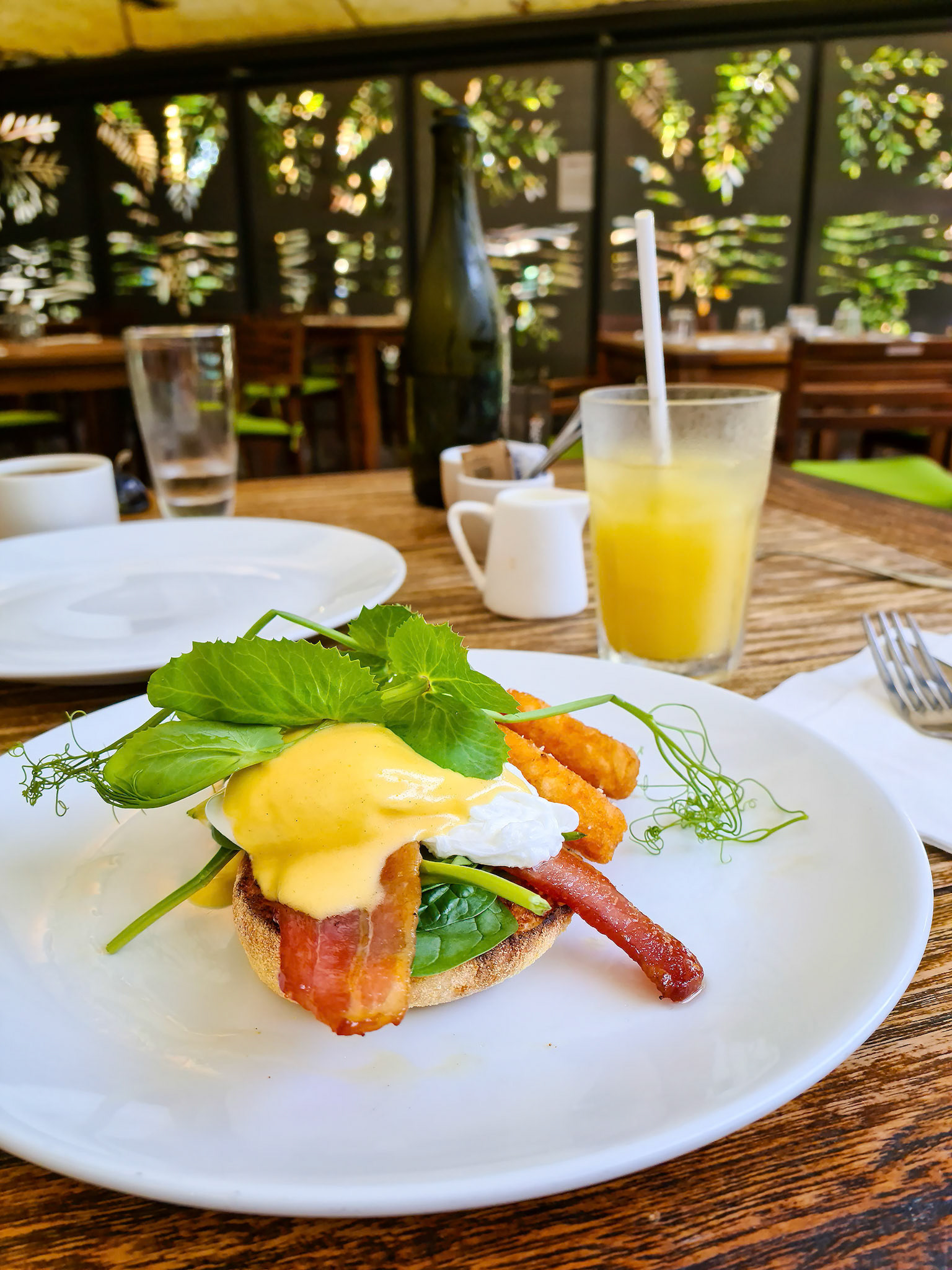 Eggs Benedict a fabulous breakfast at Emeralds Restaurant Bar Green Island Great Barrier Reef GRB Cairns QLD Australia  © copyright-lewis-a-collins-photographer-!http://lewiscollins.com.au