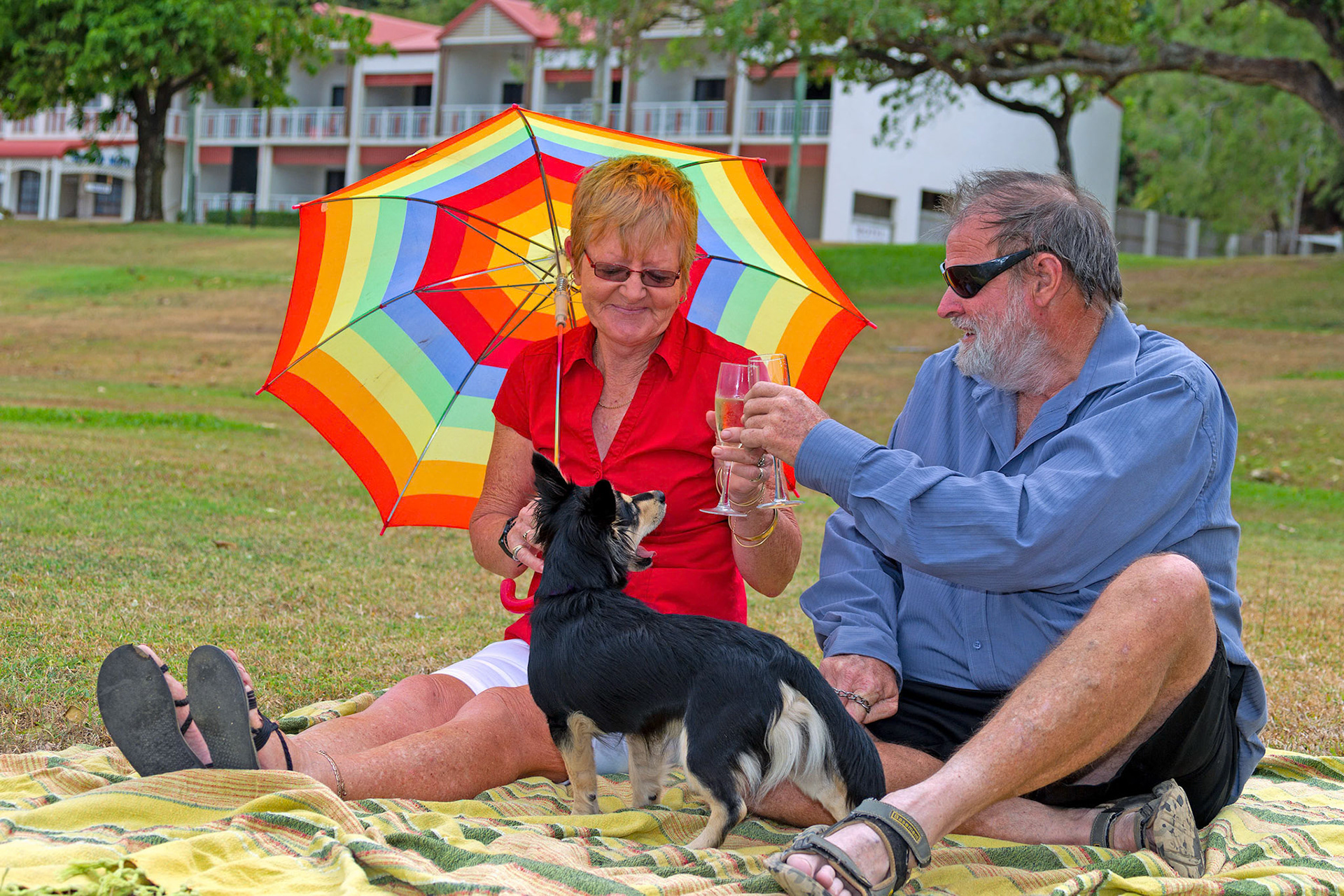 couple sitting toasting with dog with umbrella© copyright-lewis-a-collins-lcpmtl-! http://lewiscollins.com.au