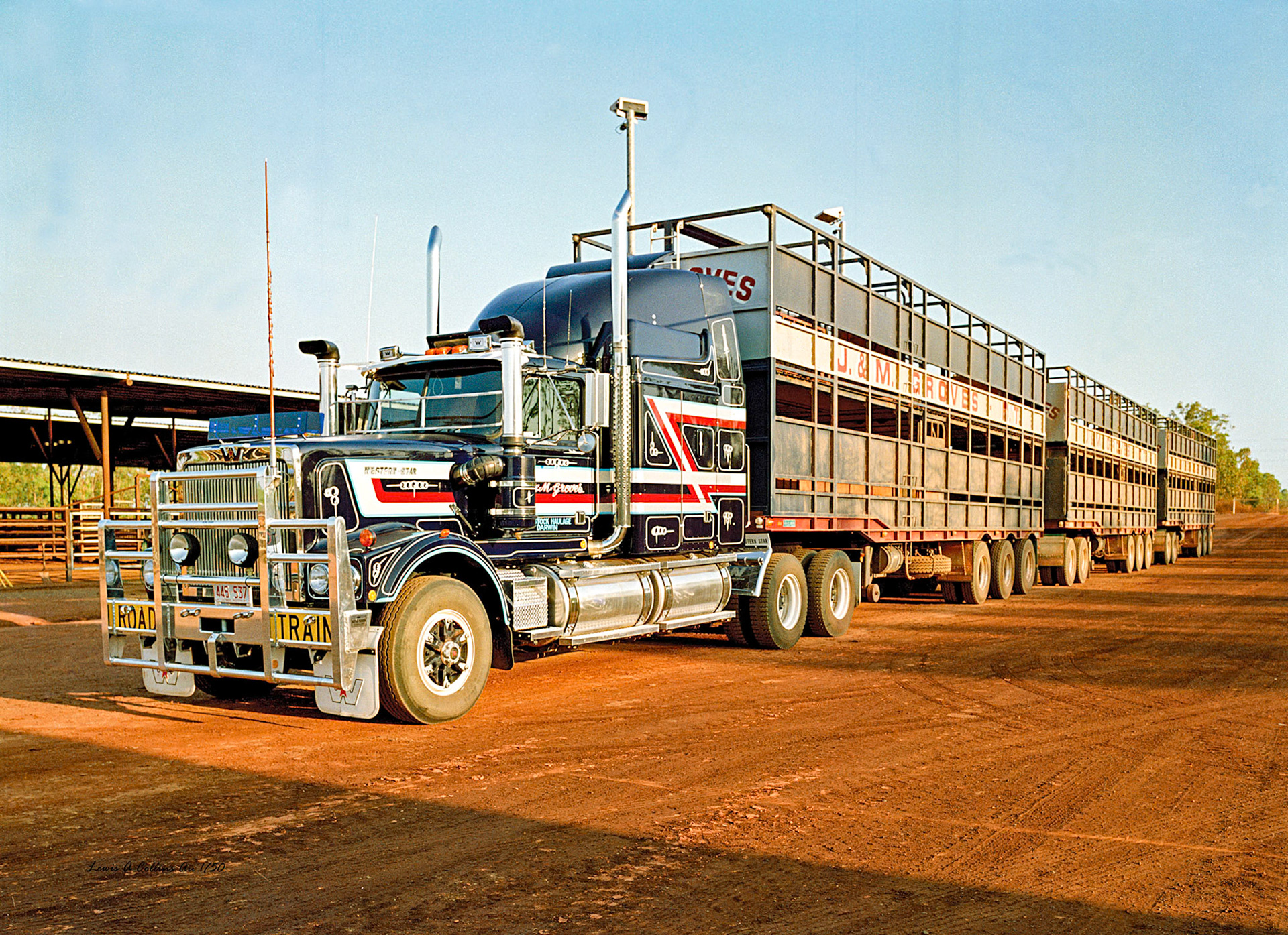 cattle raodtrain parked sale yards ready loading facing left three up trailers