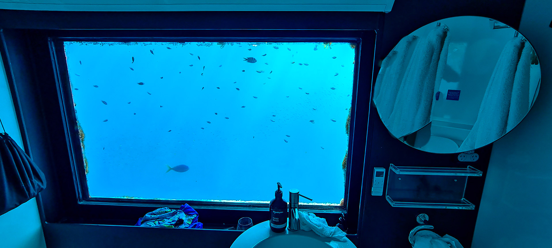 2022 december view from our Underwater cabin at Reefsuite queensland coast australia© copyright lewis a collins ! http://lewiscollins.com.au