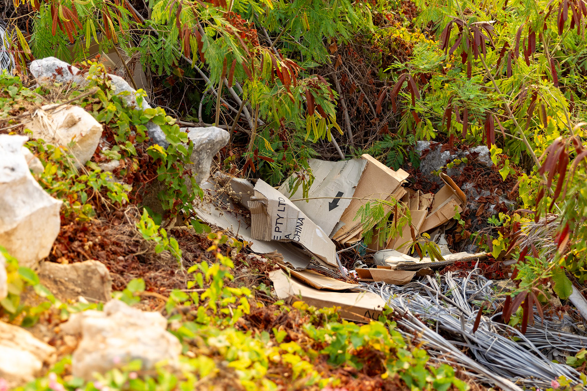 pollution cartons boxes dumped bushland illegal rubbish dumping bushland