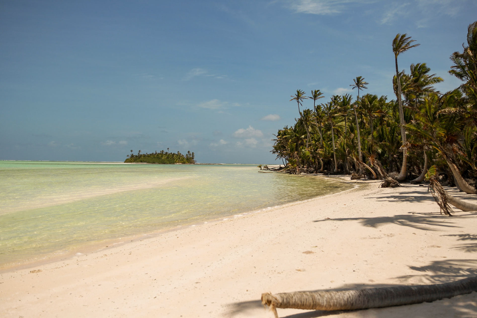 2024 january scout park beach cocos keeling Island, © copyright lewis a collins ! http://lewiscollins.au