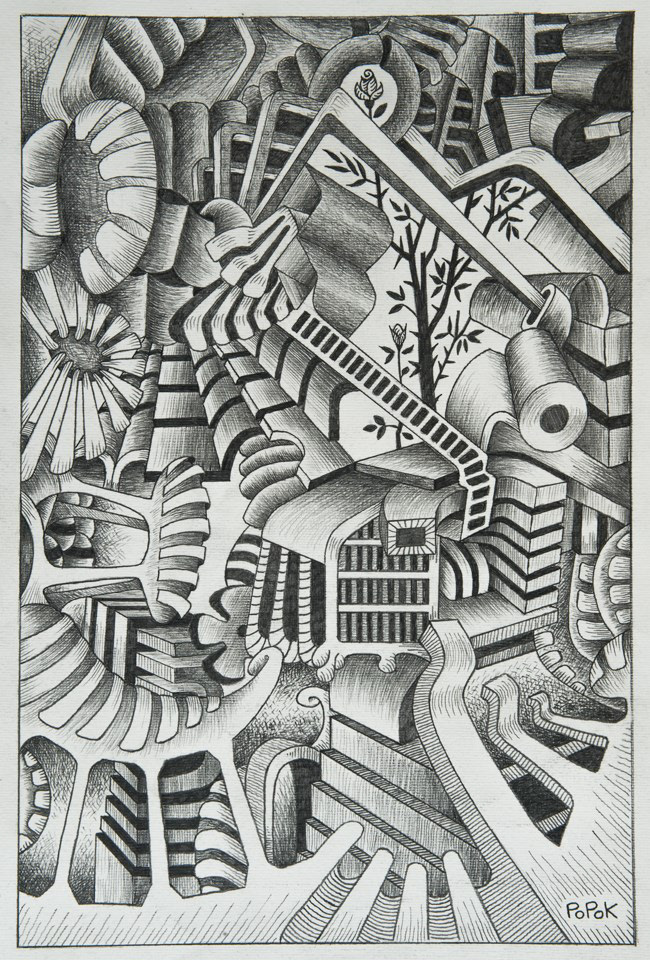 Le rosier, dessin au crayon gris