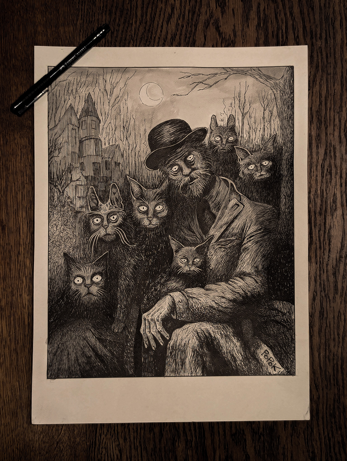 L'homme aux chats,  26,5 cm x 43,5 cm