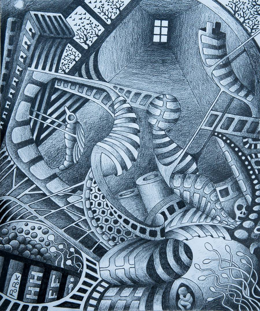 La chrysalide, dessin au crayon gris
