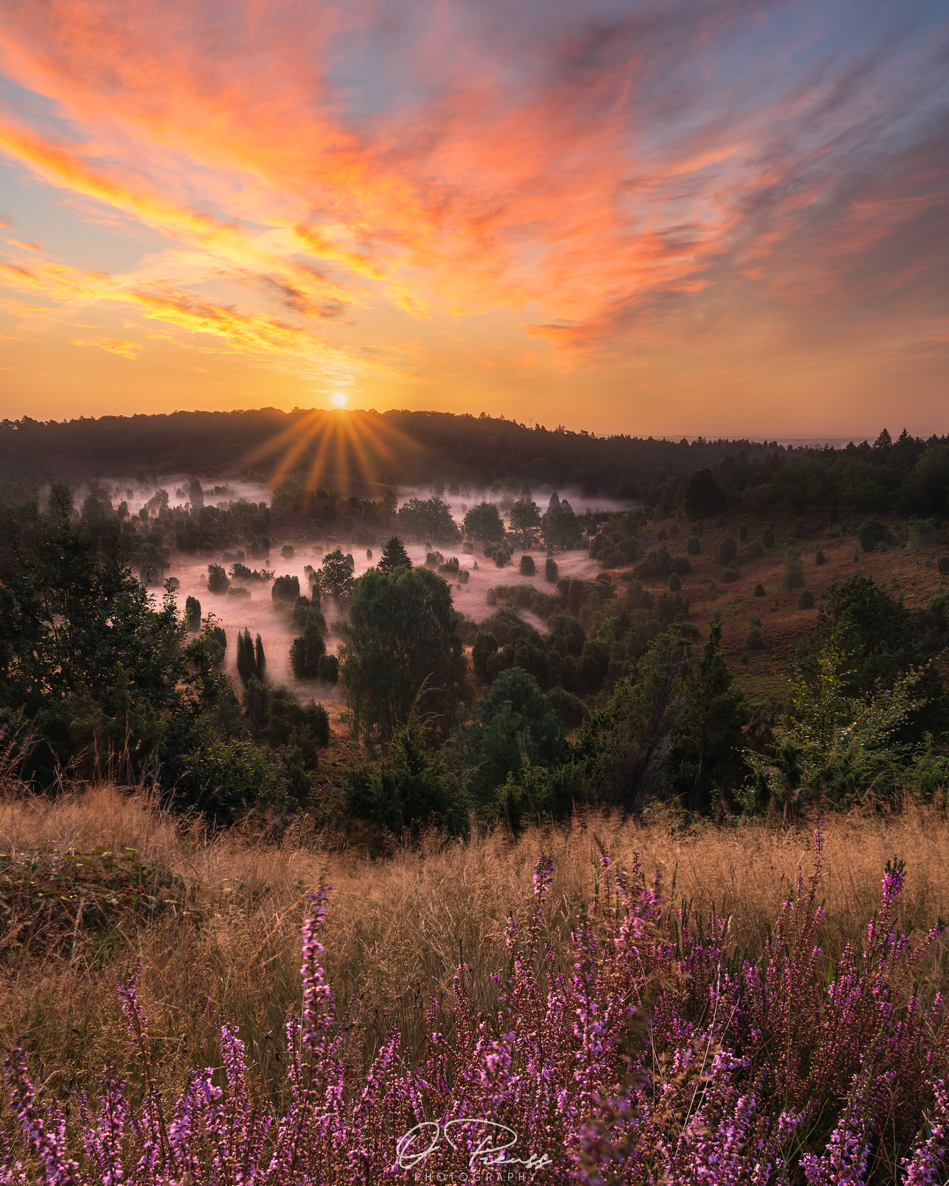 Lüneburger Heide