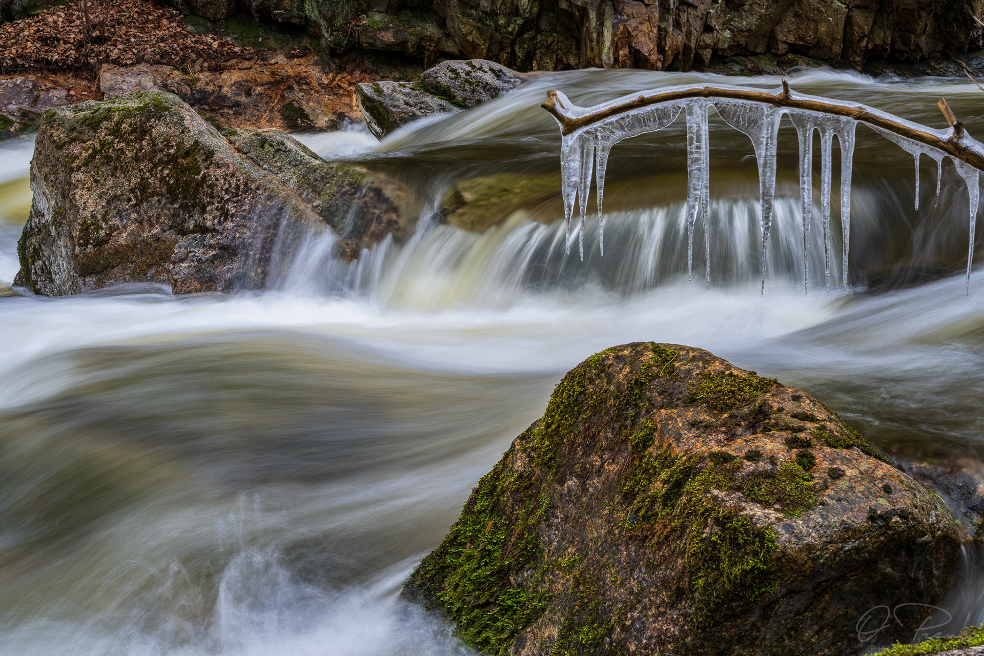 Harz