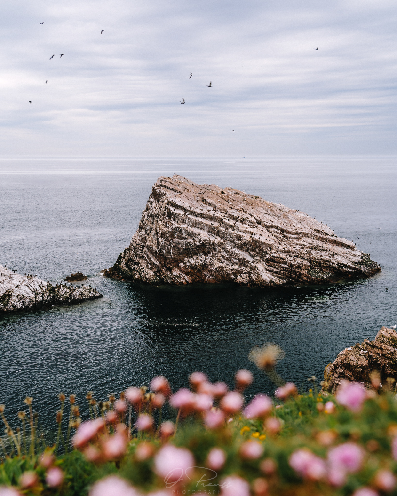 Bowfiddle Rock